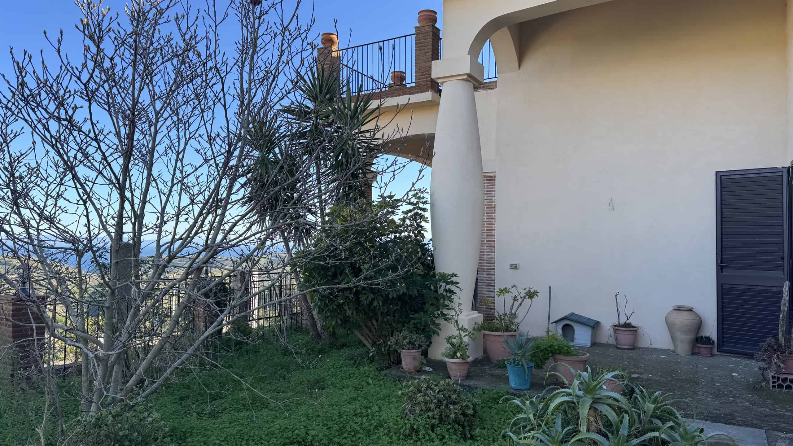 Prato con piante in vaso, terrazza di casa, vista panoramica, stile rilassante, giardino di piante grasse, ambiente esterno, decorazioni di verde, zona relax all'aperto, casa con terrazza, arredamento outdoor, immagine di giardino urbano, spazio esterno accogliente, design esterno, Home & Garden.