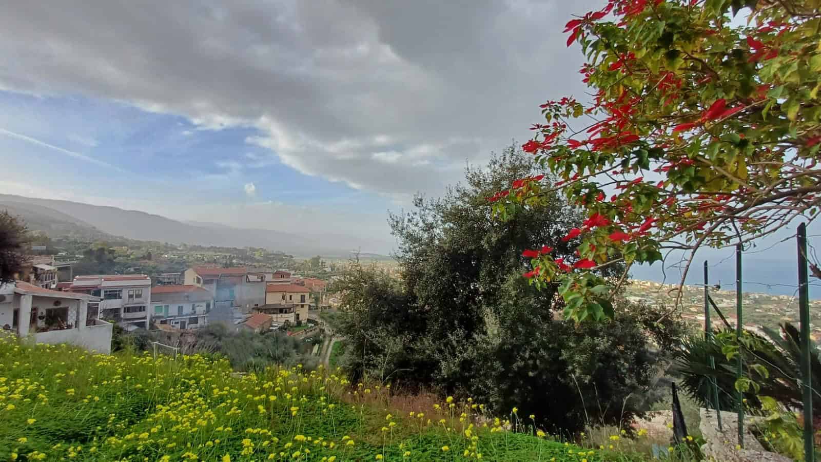 VISTA PANORAMICA DA UNA COLLINA CON CASE, VERDEGGIANTE PAESAGGIO, CIELO NUVOLOSO, ALBERI E FIORI COLORATI, IDEALE PER LA VENDITA O AFFITTO DI CASE E PROPRIETÀ IMMOBILIARI.