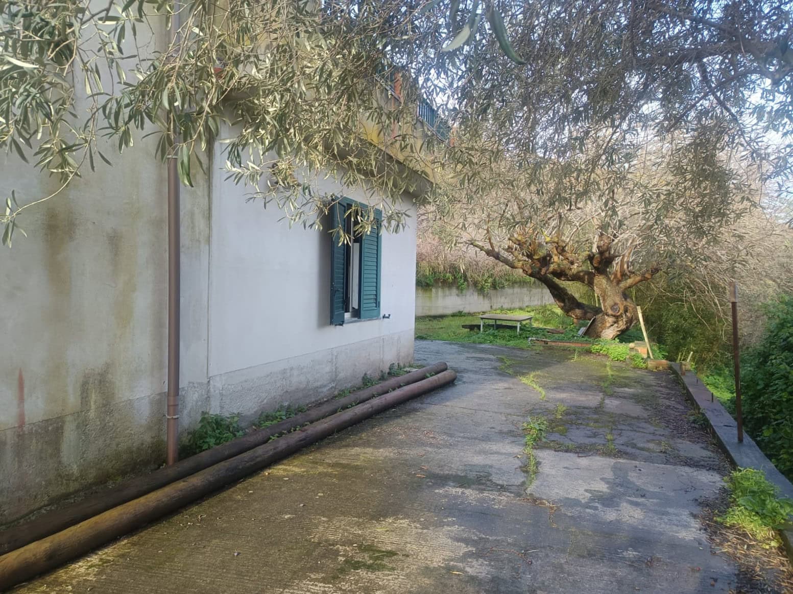 Tavolo esterno in giardino con alberi e ambiente naturale, ideale per relax e convivialità all'aperto.