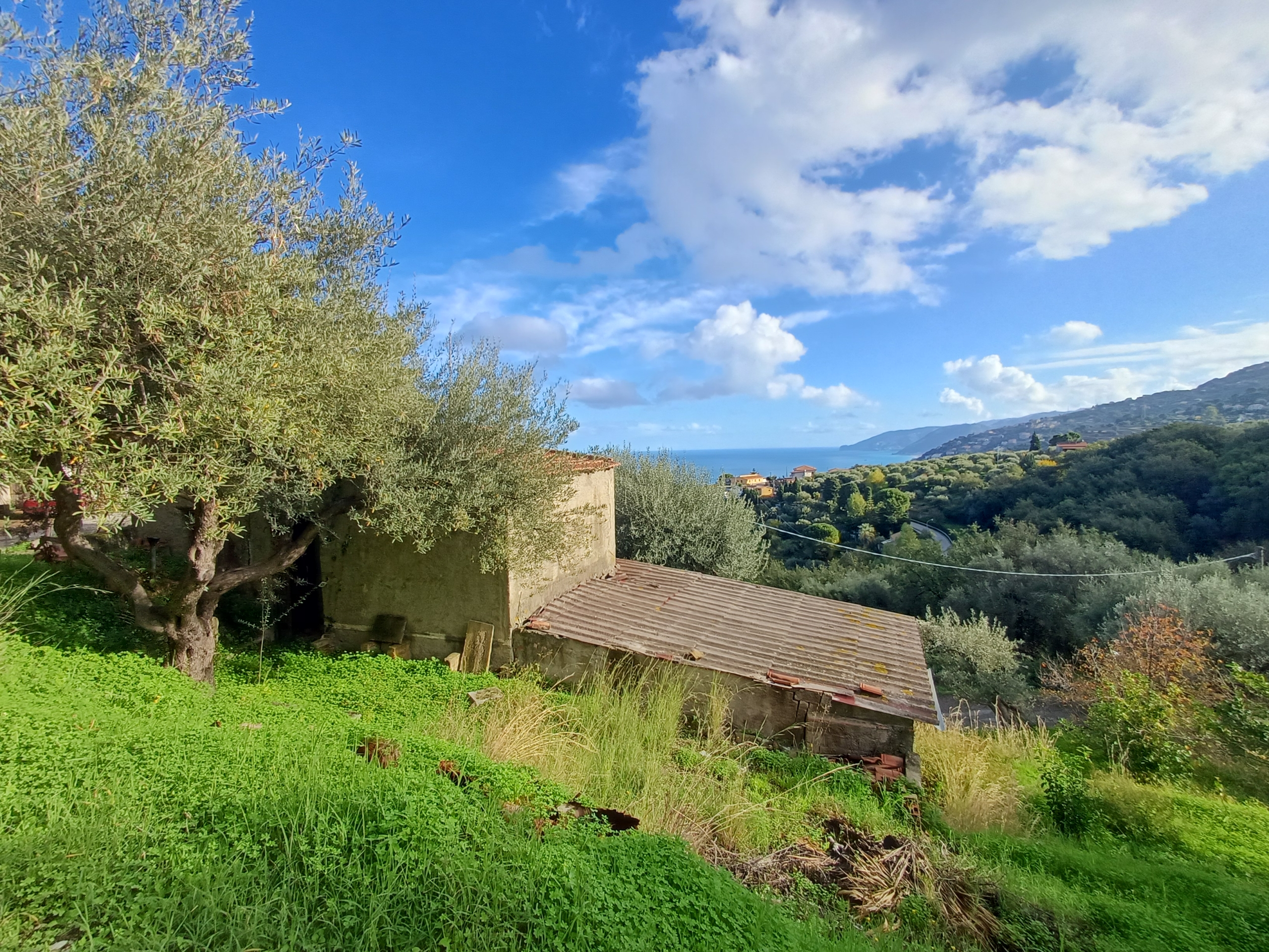 Vista panoramica di un paesaggio rurale con alberi, colline e cielo nuvoloso, vicino a Capo d'Orlando, Sicilia.
