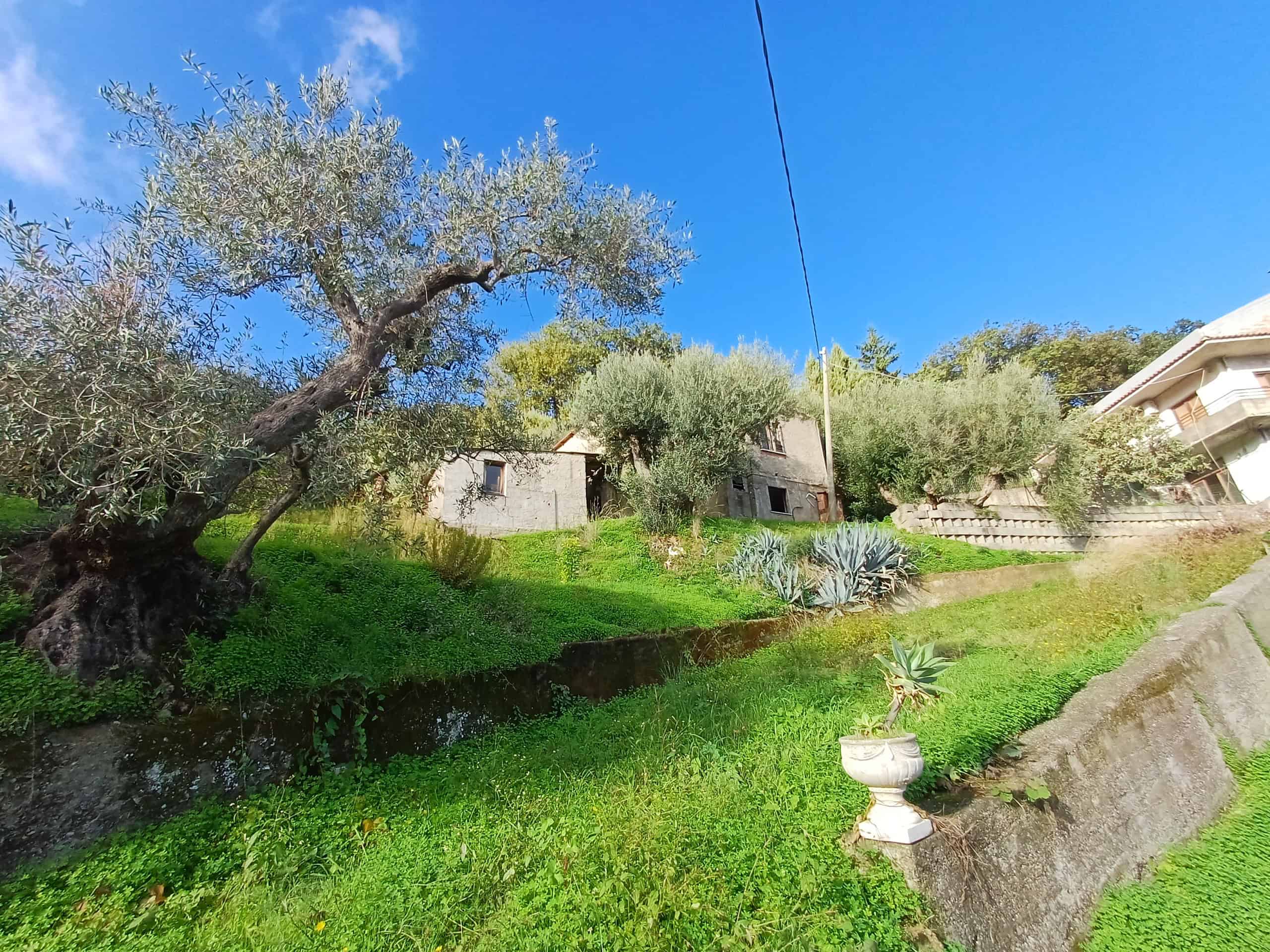 Vista di una casa indipendente circondata da alberi e vegetazione, con un cielo azzurro e un ambiente naturale.