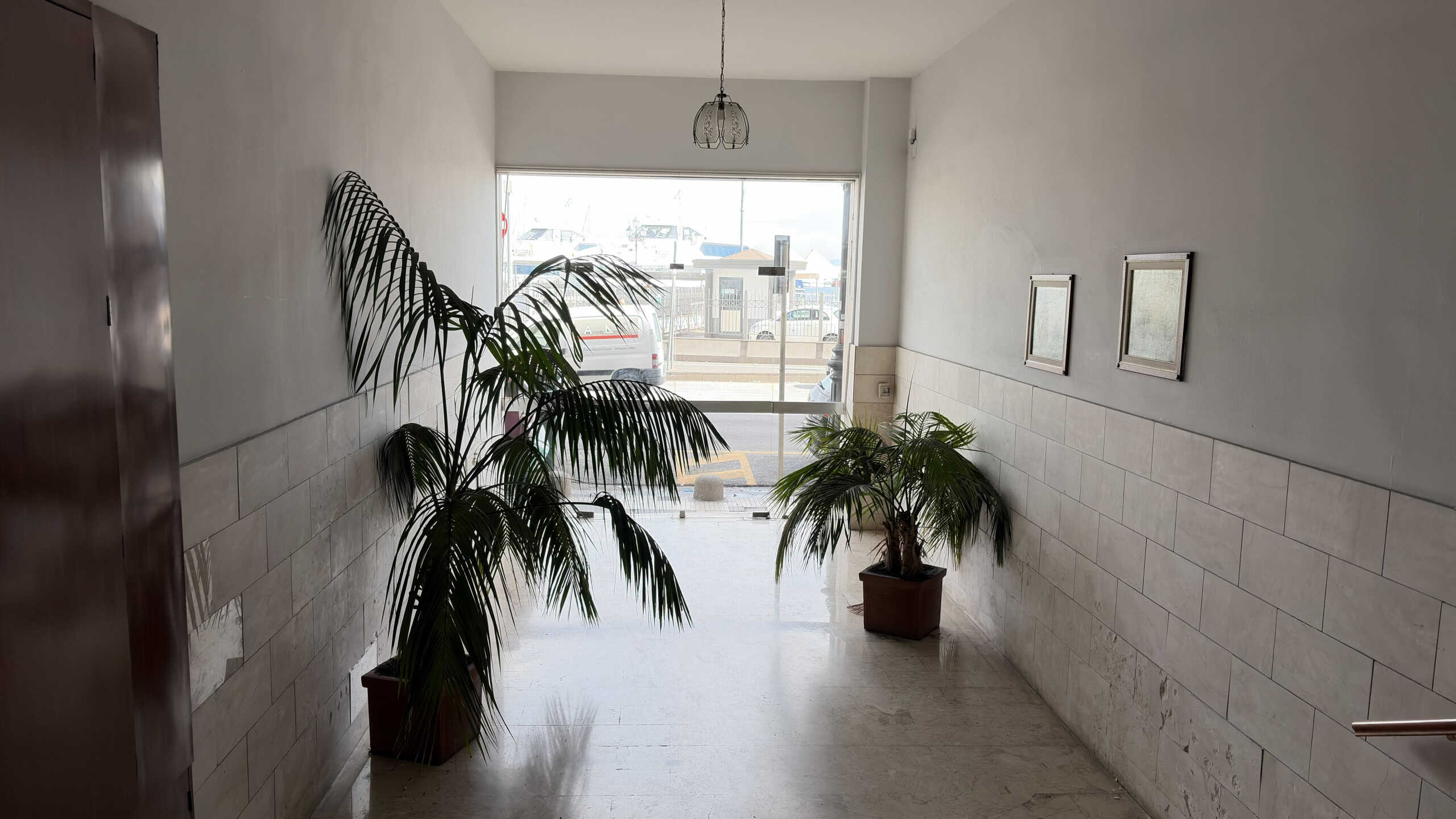 Appartamento luminoso con piante verdi e grande finestra che permette l'ingresso di luce naturale, ideale per ambienti interni accoglienti e ben illuminati.