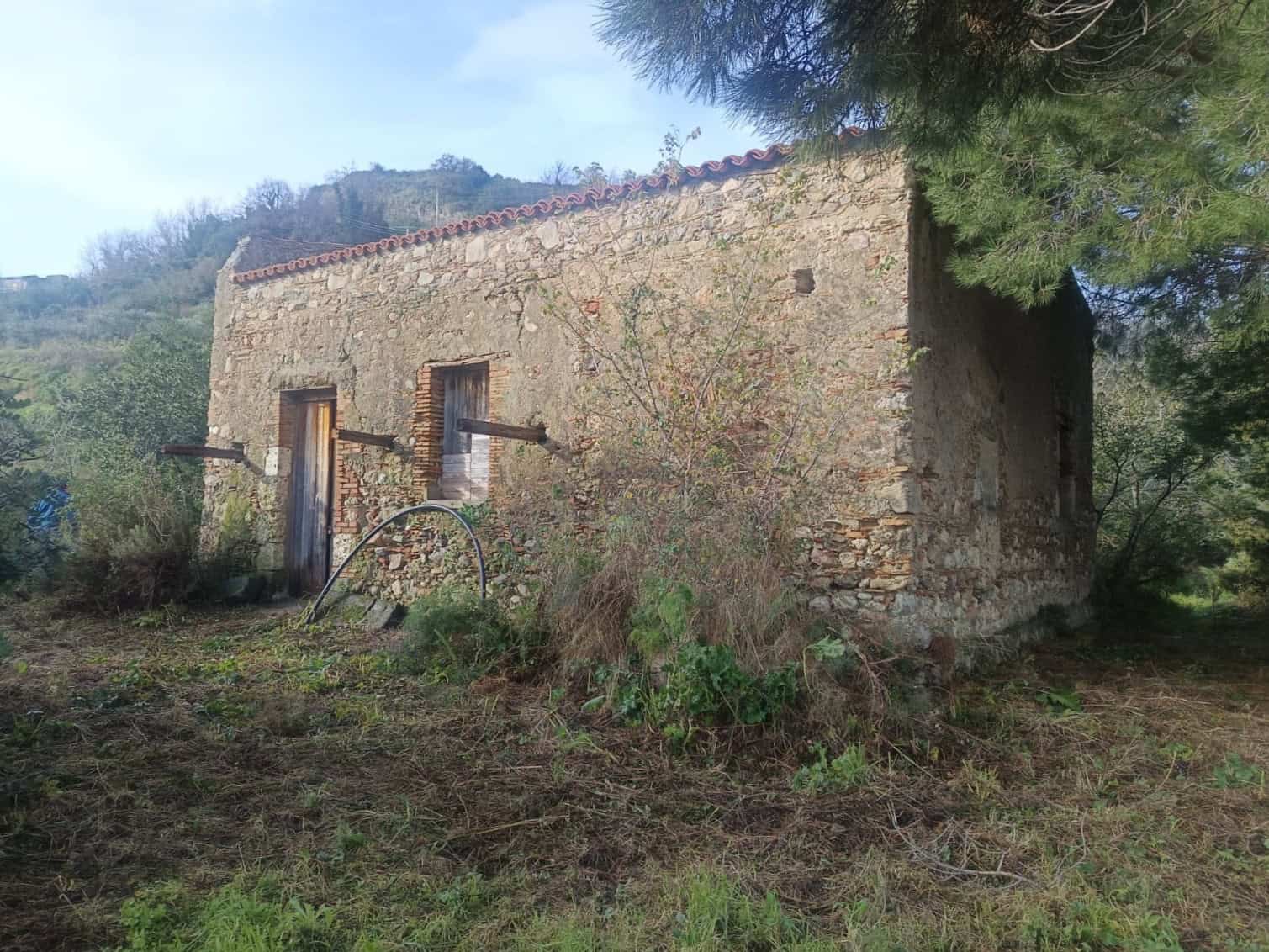 Vecchio casale in pietra immerso nella natura, ideale per ristrutturazione e investimento immobiliare in campagna, circondato da alberi e paesaggi rurali, perfetto per chi cerca tranquillità e autenti.