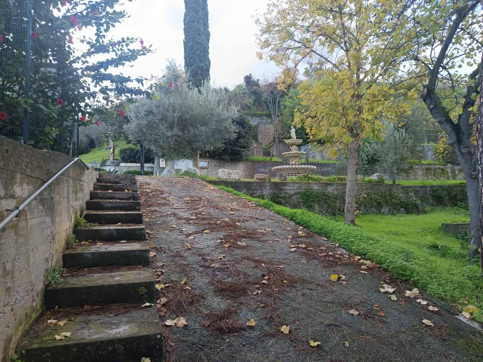 Aggiungi un'immagine di un giardino con piante, alberi e una fontana, con un sentiero in salita e gradini in pietra, in un ambiente tranquillo e ben curato, ideale per case e proprietà di lusso.