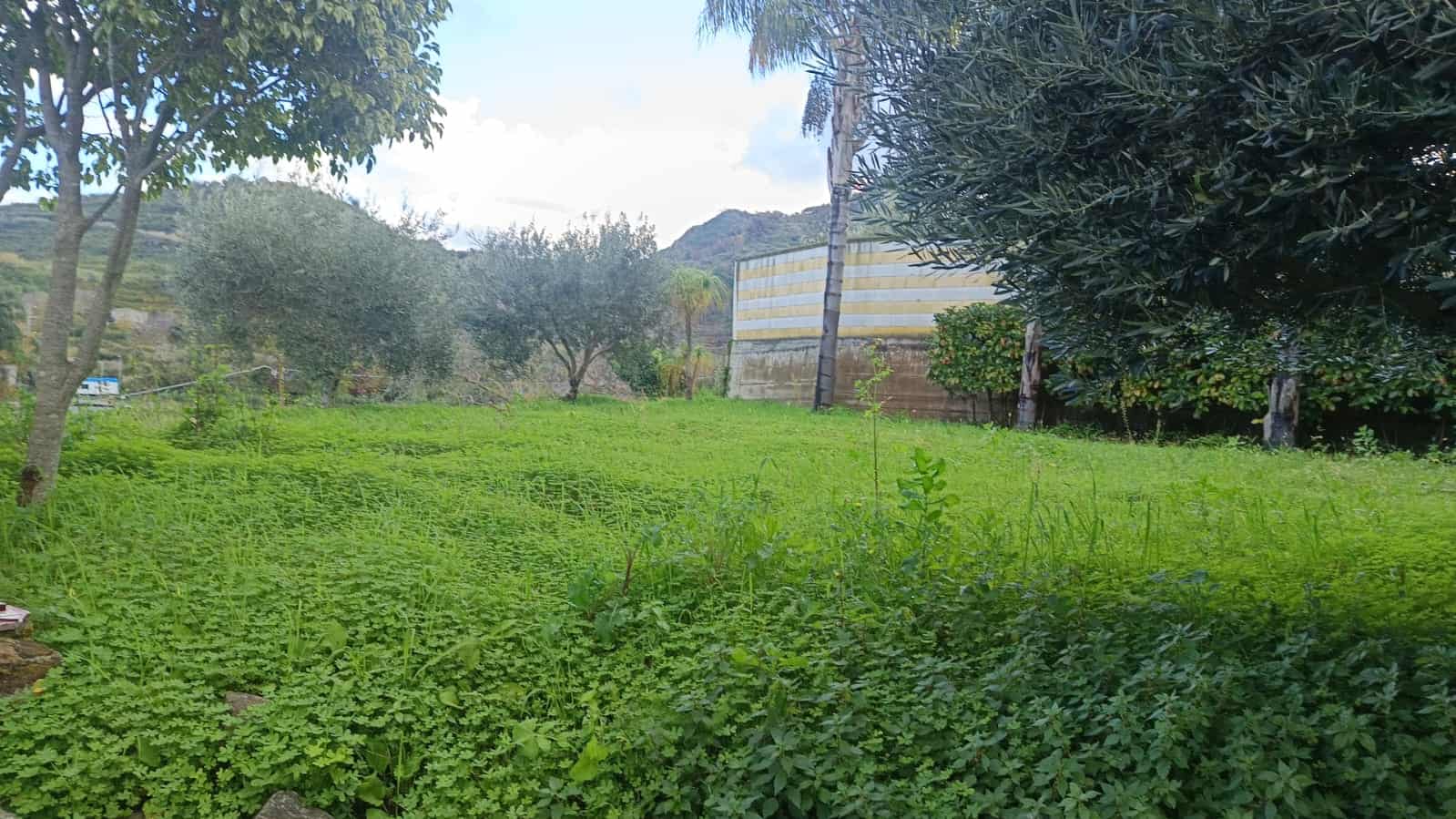 Ampia area verde con alberi e prato ben curato, ideale per attività all'aperto e relax in natura, vicino a zone residenziali e colline. Perfetta per investimenti immobiliari o sviluppo di progetti eco.