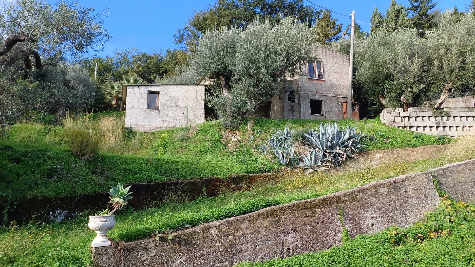 Vista di una casa indipendente in vendita a Capo d'Orlando, con giardino e piante mediterranee, immersa nel verde.