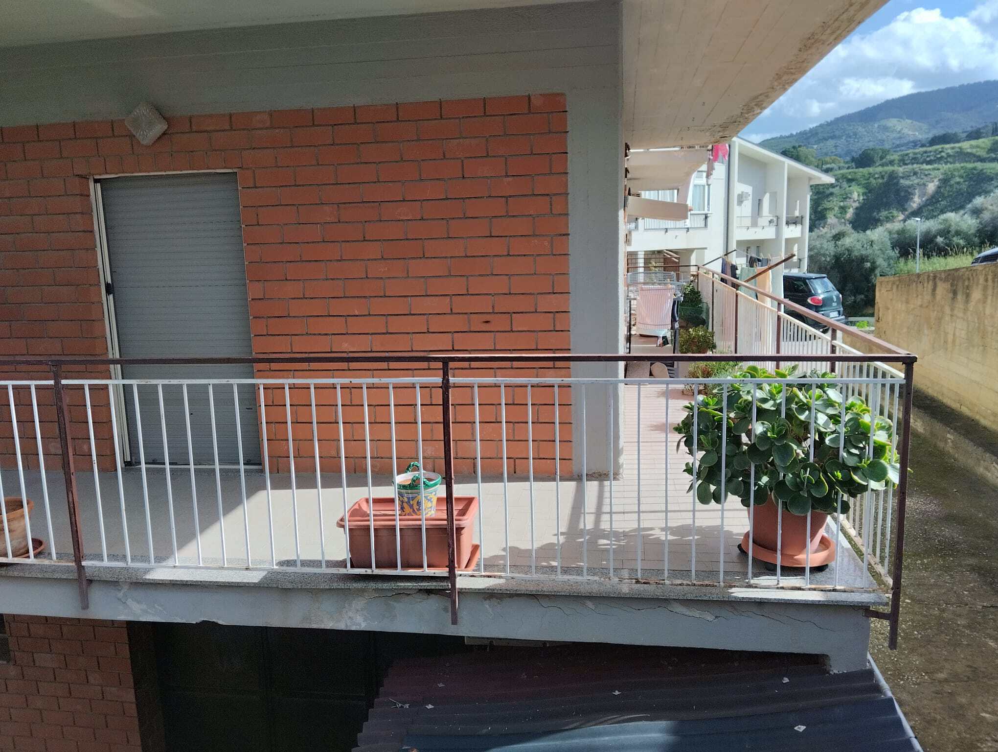 Balcone di un appartamento con piante in vaso e vista sulle colline verdi circostanti, ideale per relax e momenti all'aperto.