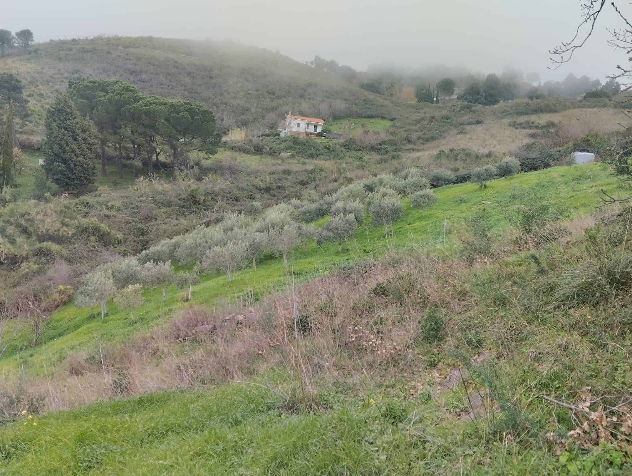 Prato verde e colline collinari con una casa isolata in lontananza, paesaggio rurale tranquillo e naturale in Toscana.