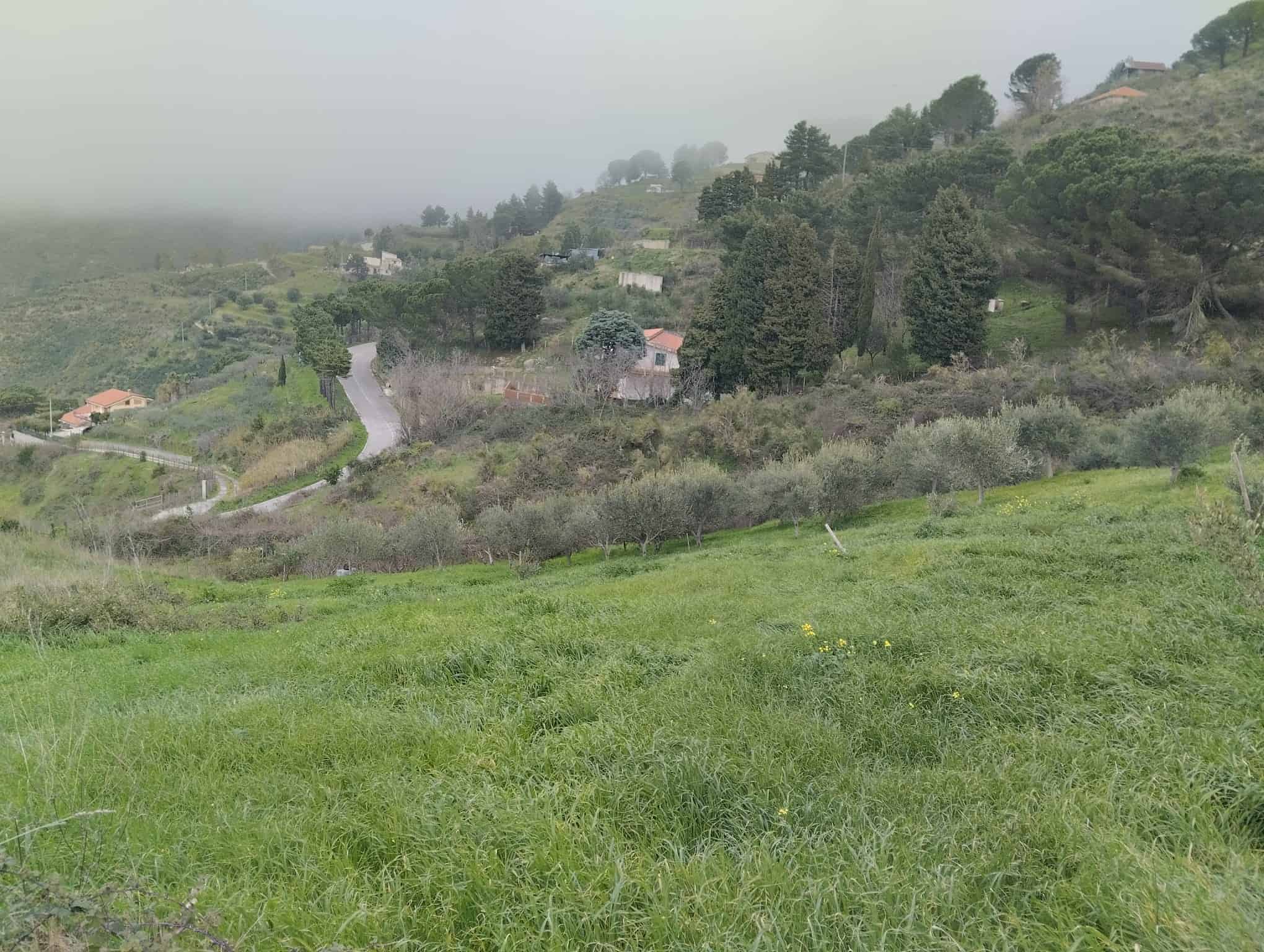 Prato verde e colline con case e alberi, paesaggio rurale in Toscana, Italia, con atmosfera nebbiosa e natura incontaminata.