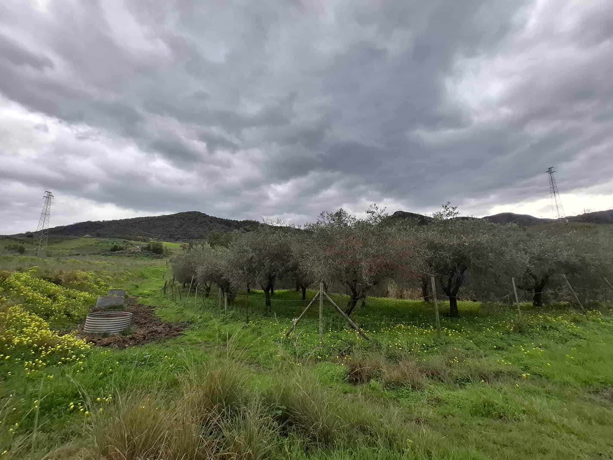 Paesaggio rurale con alberi da frutto e colline sotto un cielo nuvoloso, ideale per agricoltura o relax all'aperto, in Italia.