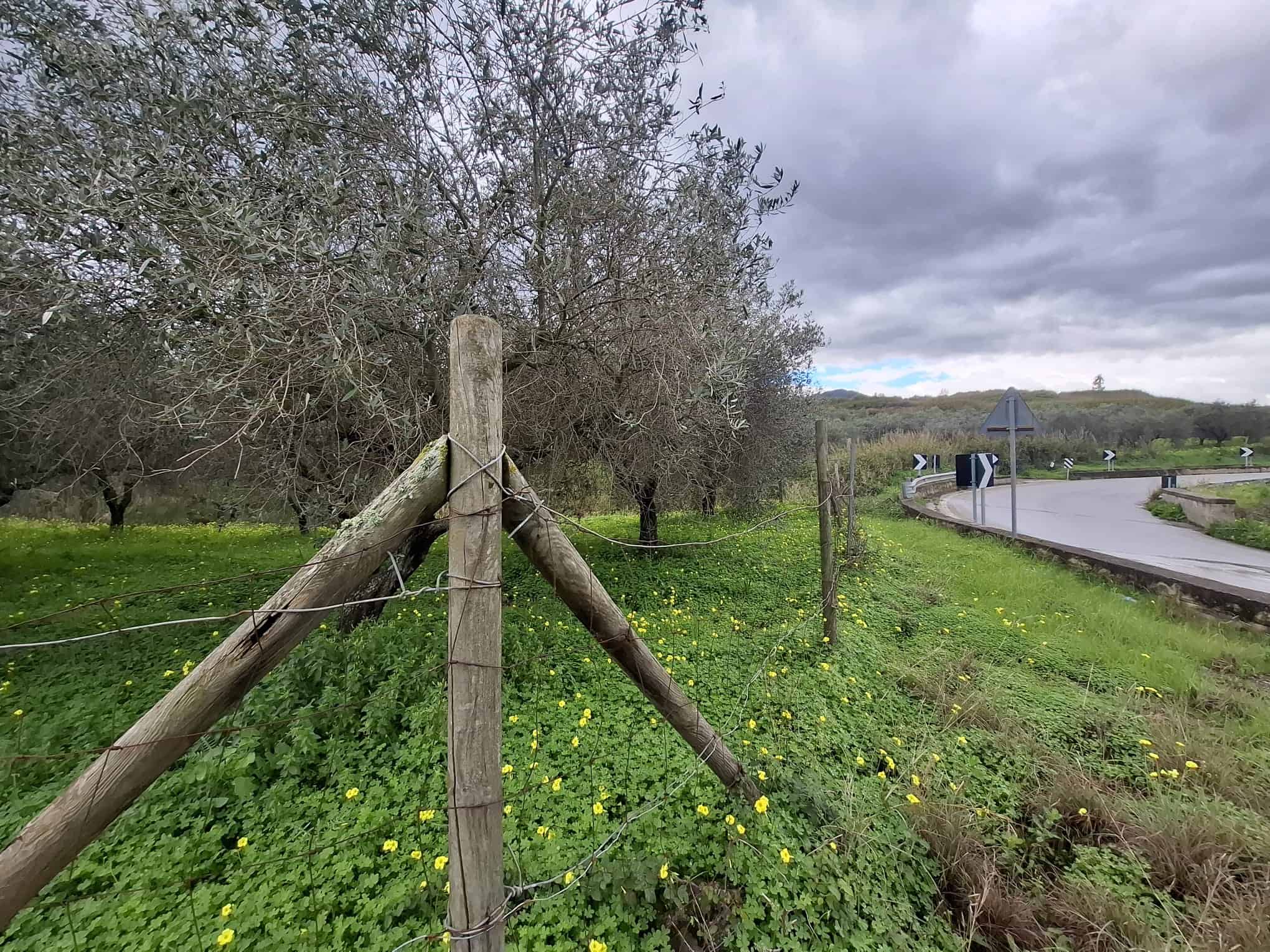 Barriera di legno e filo spinato lungo una strada rurale con alberi e campagna sullo sfondo, cielo nuvoloso, atmosfera tranquilla e naturale.