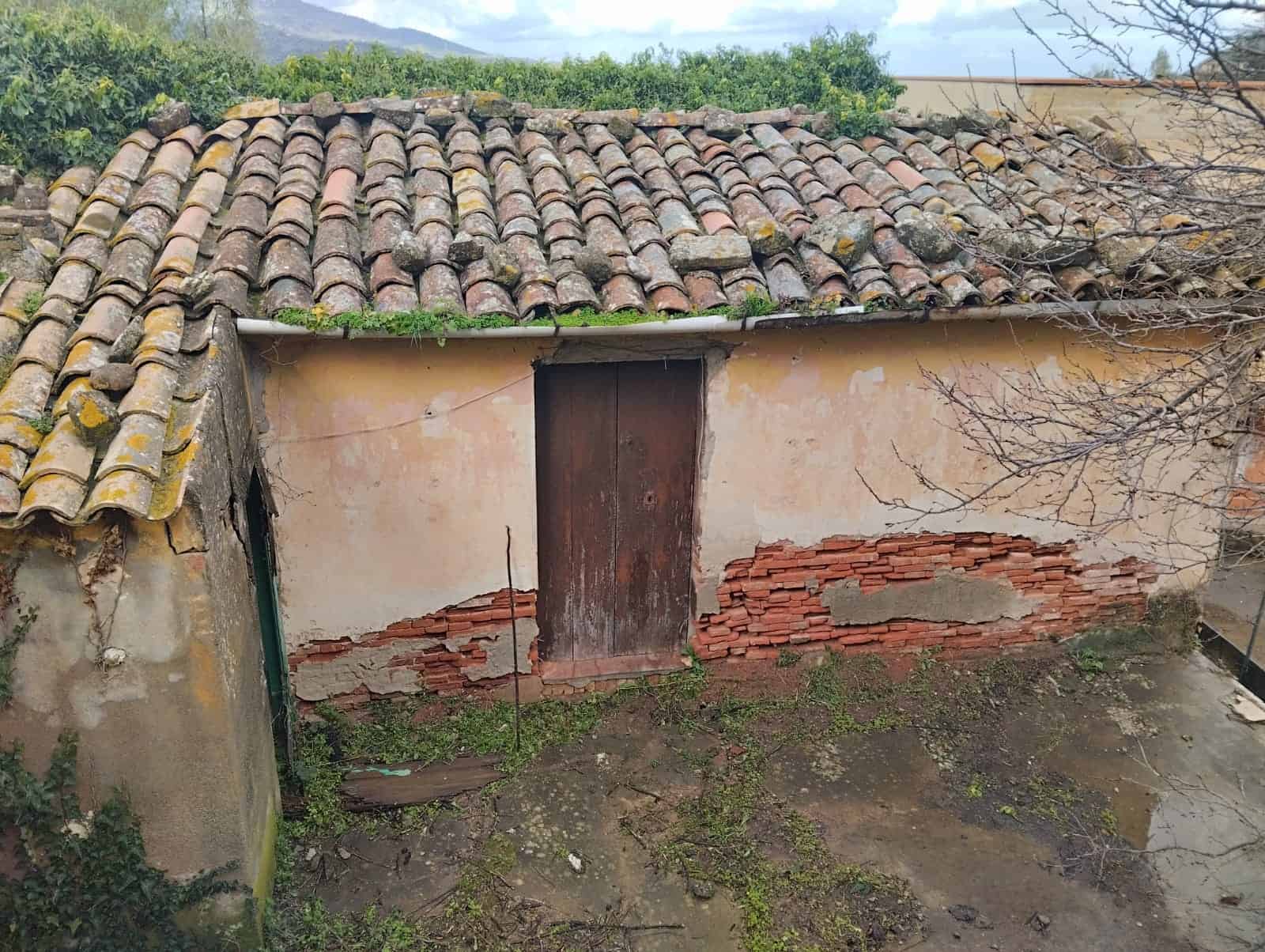 Antico capanno in pietra e mattoni con tetto in tegole, situato in un contesto rurale, mostra segni di usura e deterioramento, ideale per interventi di ristrutturazione o restauro.
