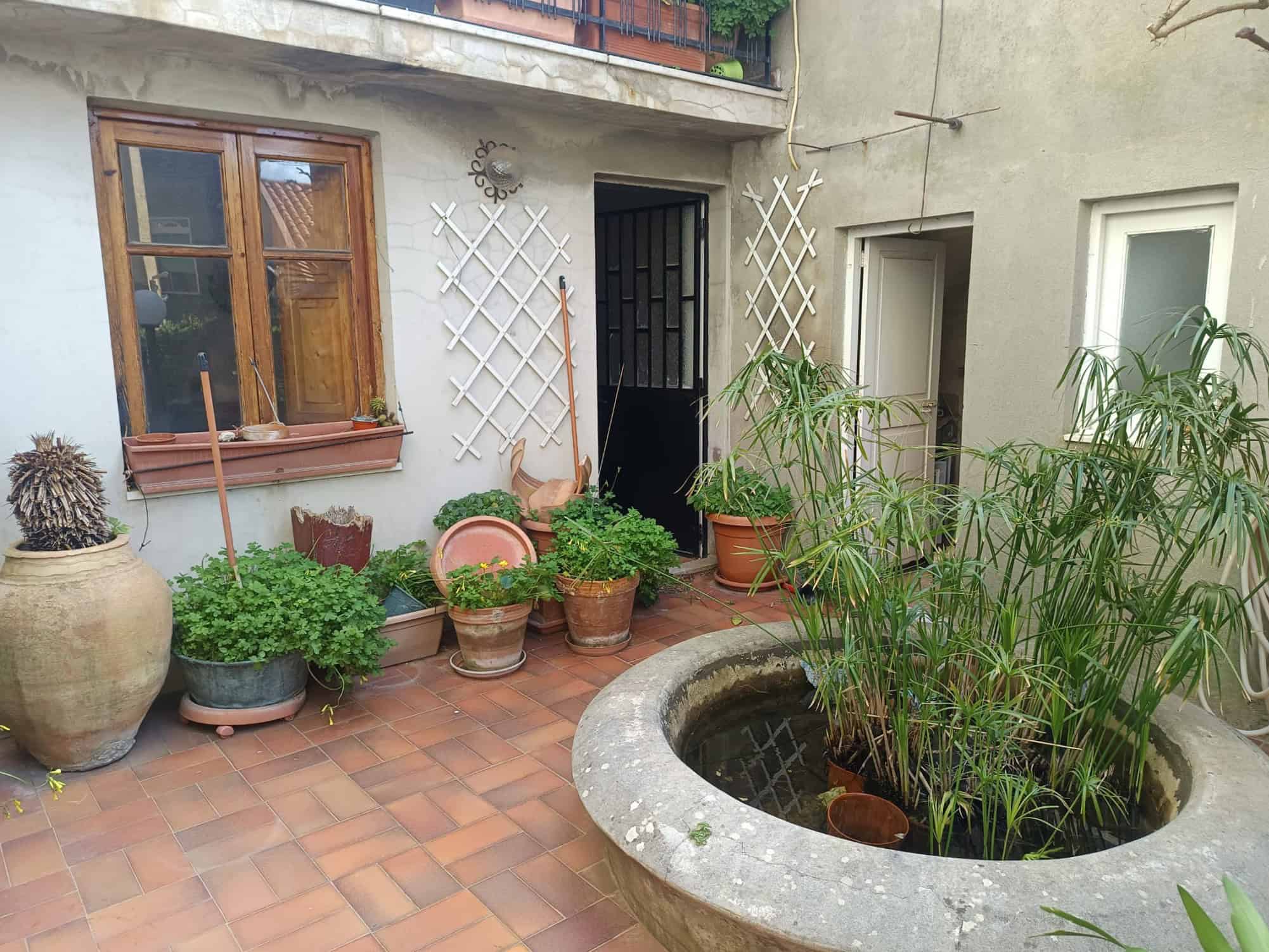 Vaso decorativo con piante verdi in un cortile interno di casa, con elementi di arredo e decorazioni in stile rustico, ideale per ambienti esterni accoglienti e naturali.