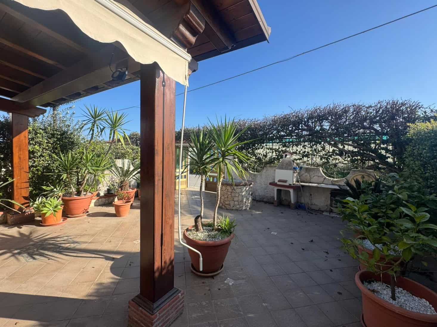 Vaso di piante tropicali e piante verdi su terrazza soleggiata con vista panoramica, spazio esterno ben curato e ambiente rilassante, ideale per vivere all'aperto.