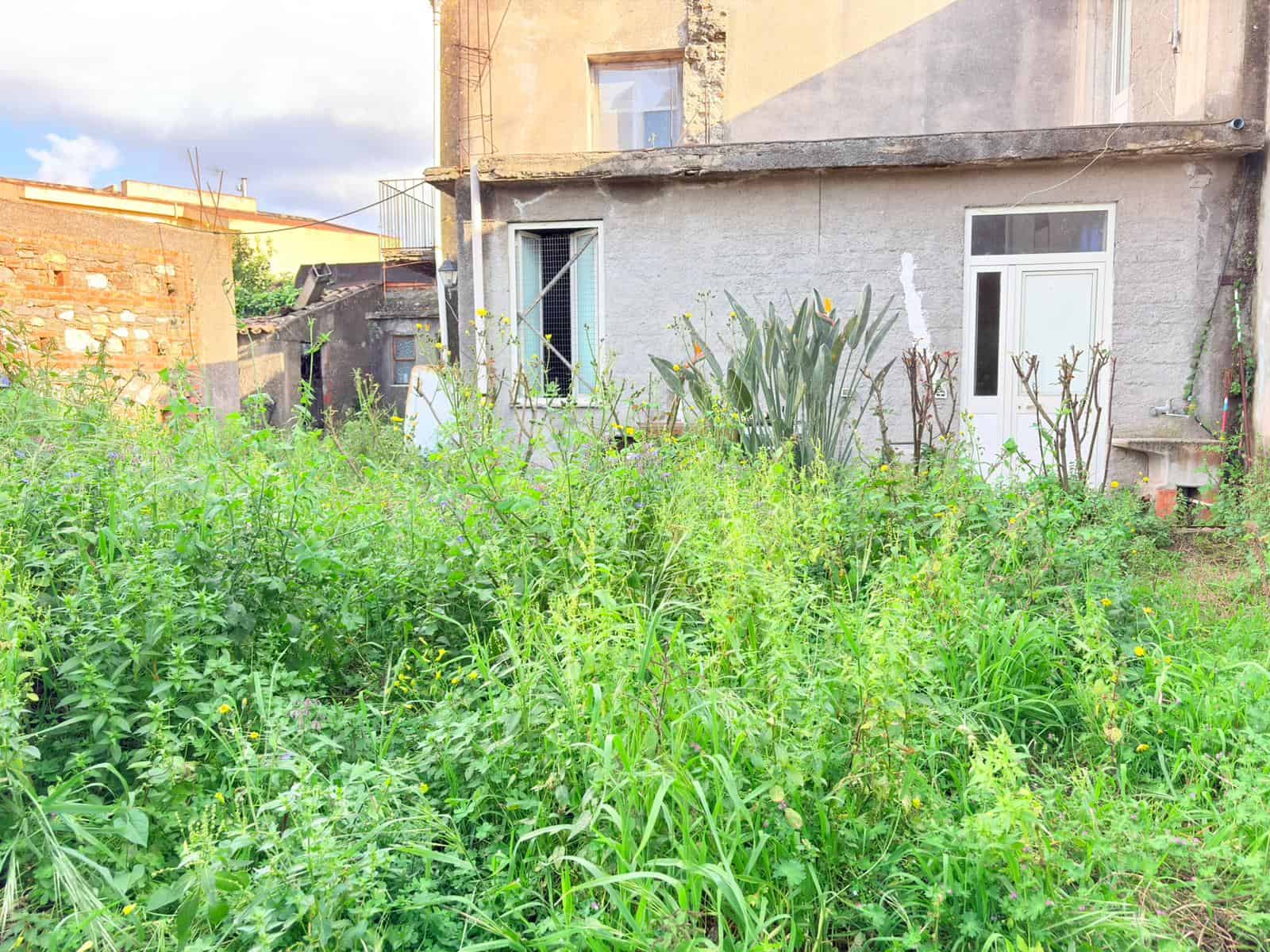 Prato di giardino incolto con erba alta e piante selvatiche davanti a una casa in costruzione o ristrutturazione, in un contesto urbano.