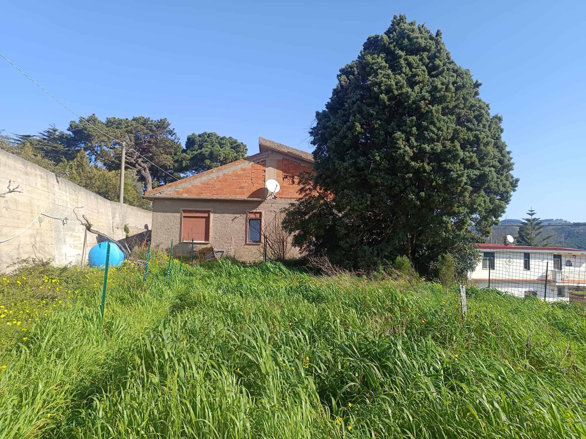 Casa indipendente con giardino e grande albero, zona tranquilla vicino alla natura, ideale per residenza o investimento immobiliare in Italia.