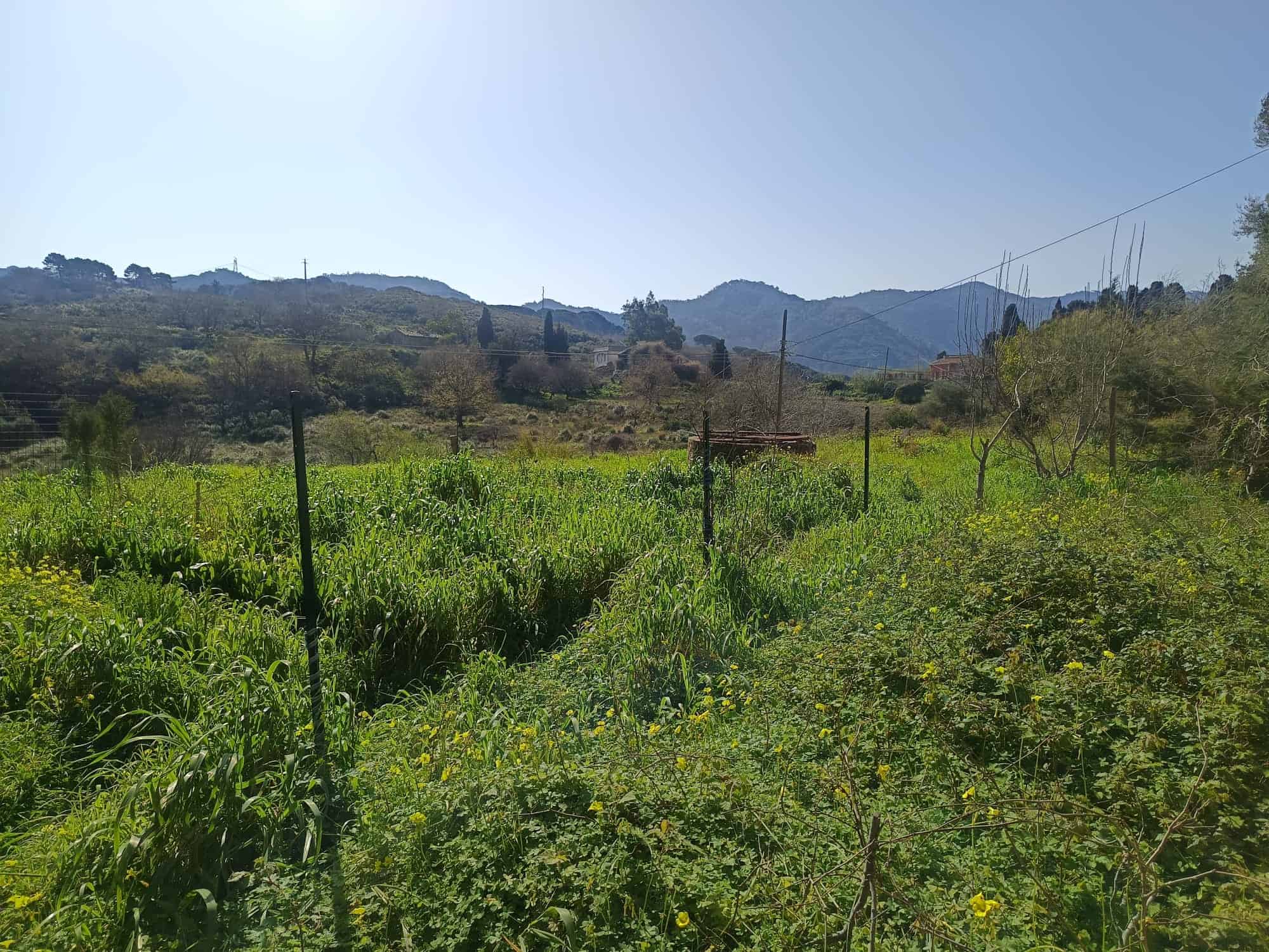 Verde campagna con recinzione, colline e cielo sereno, immagine di paesaggio rurale in Italia.