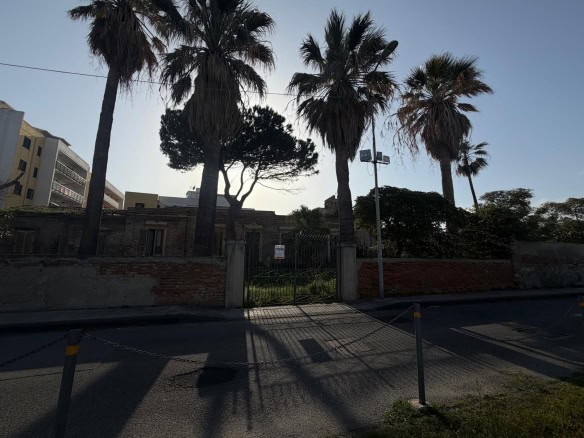 Le immagini mostrano un'area con alte palme e vegetazione, probabilmente in una zona residenziale o turistica, con un cancello e un muro di recinzione.