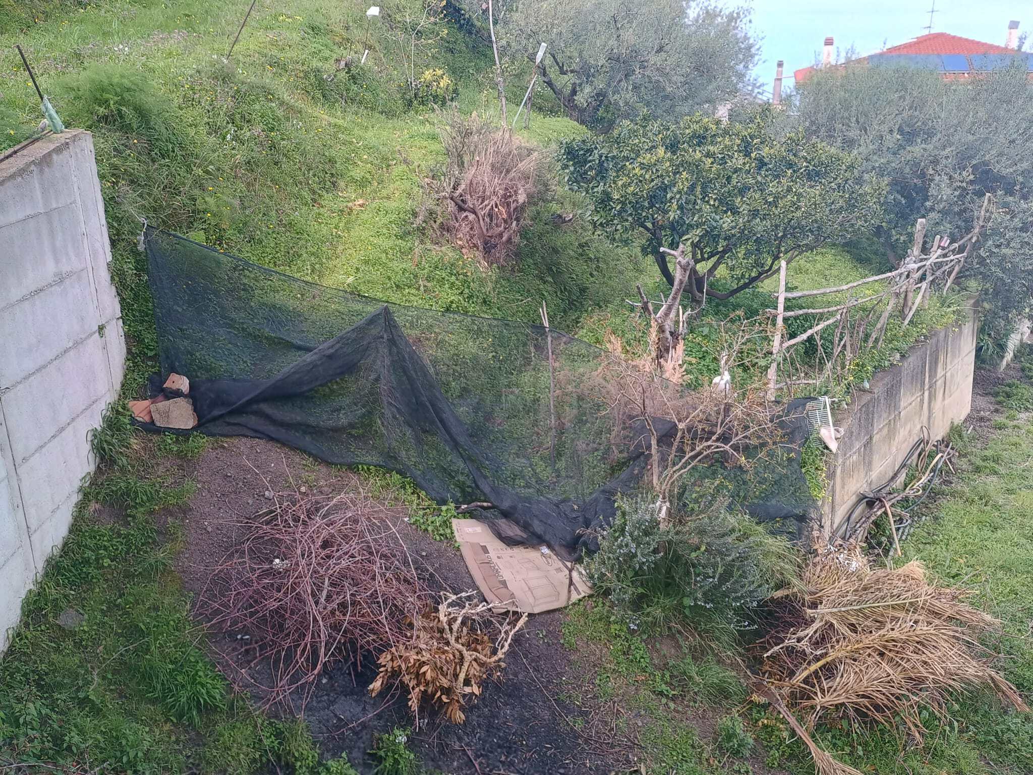 Telo di recinzione nero e piante secche in giardino con parete in cemento, vista su colline verdi e case in lontananza, ambiente esterno naturale e tranquillo.