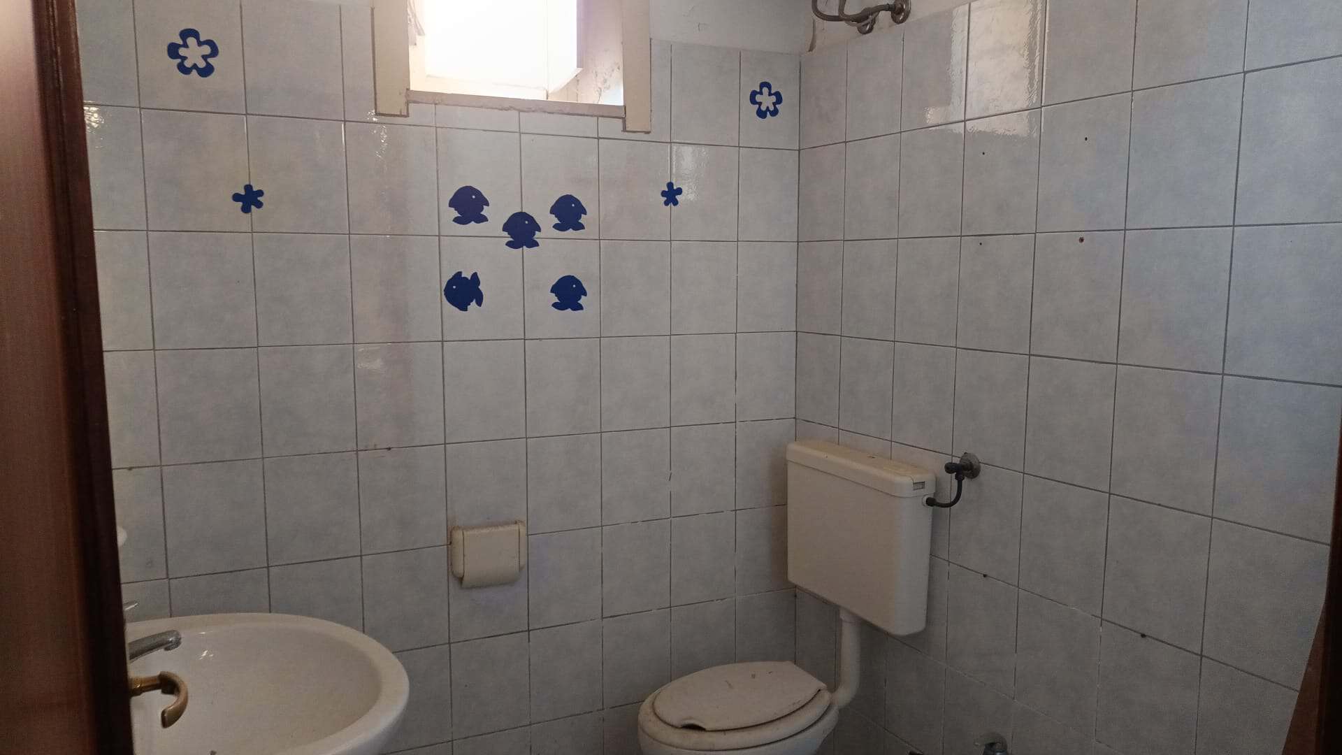 Lavandino e WC in un bagno con pareti rivestite di piastrelle bianche e decorazioni di pesci blu, ambiente funzionale e semplice.