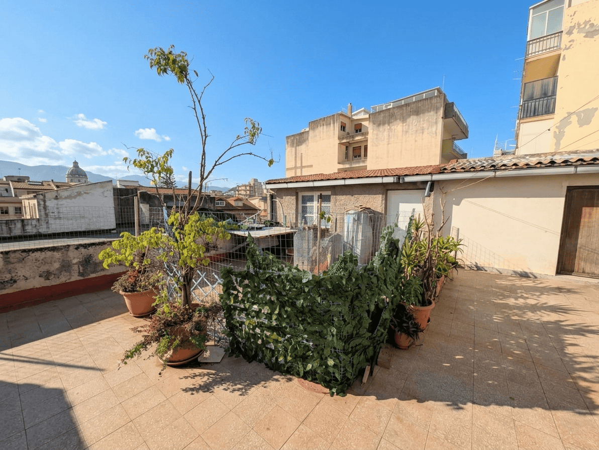 Piante in vaso e giardino sul terrazzo di un edificio urbano, con vista su altri edifici e cielo sereno, ideale per immagini di spazi esterni e terrazze in città.