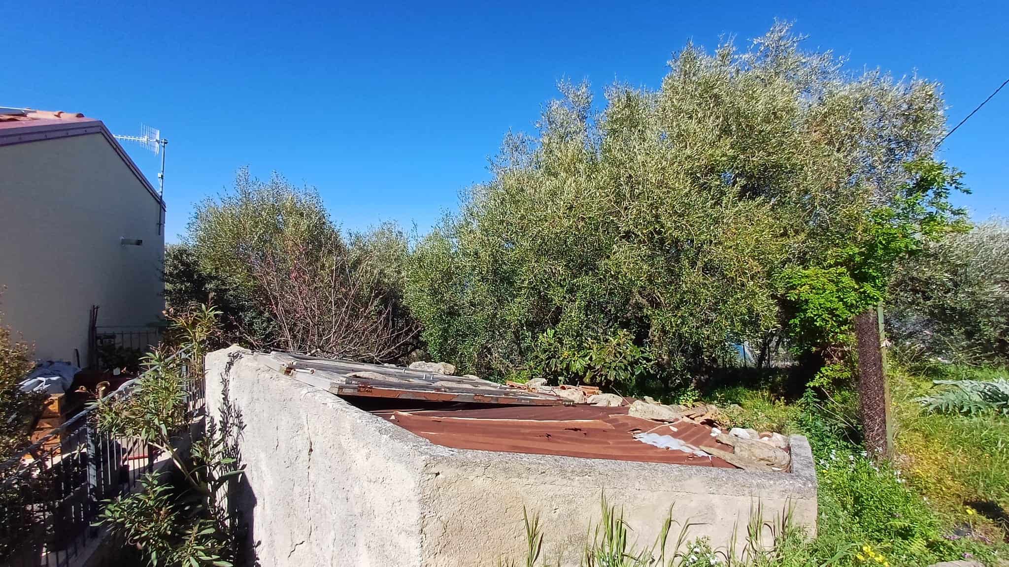 Vecchio capanno in cemento e lamiera arrugginita, situato in un giardino con alberi e vegetazione, sotto un cielo azzurro.