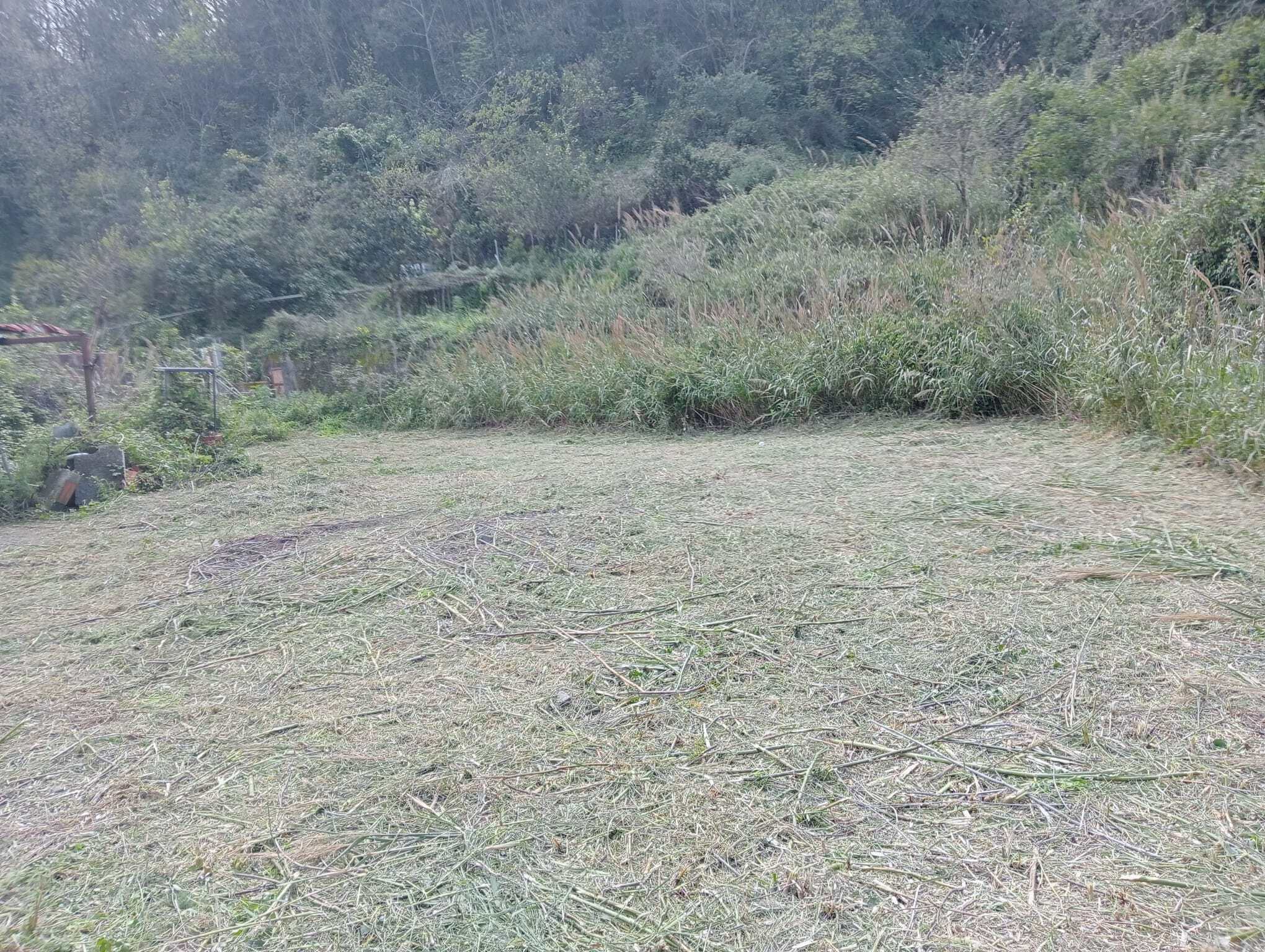 Primo piano di un terreno agricolo o area verde aperta, con vegetazione naturale e alberi sullo sfondo, ideale per progetti di sviluppo immobiliare o agricoltura sostenibile.