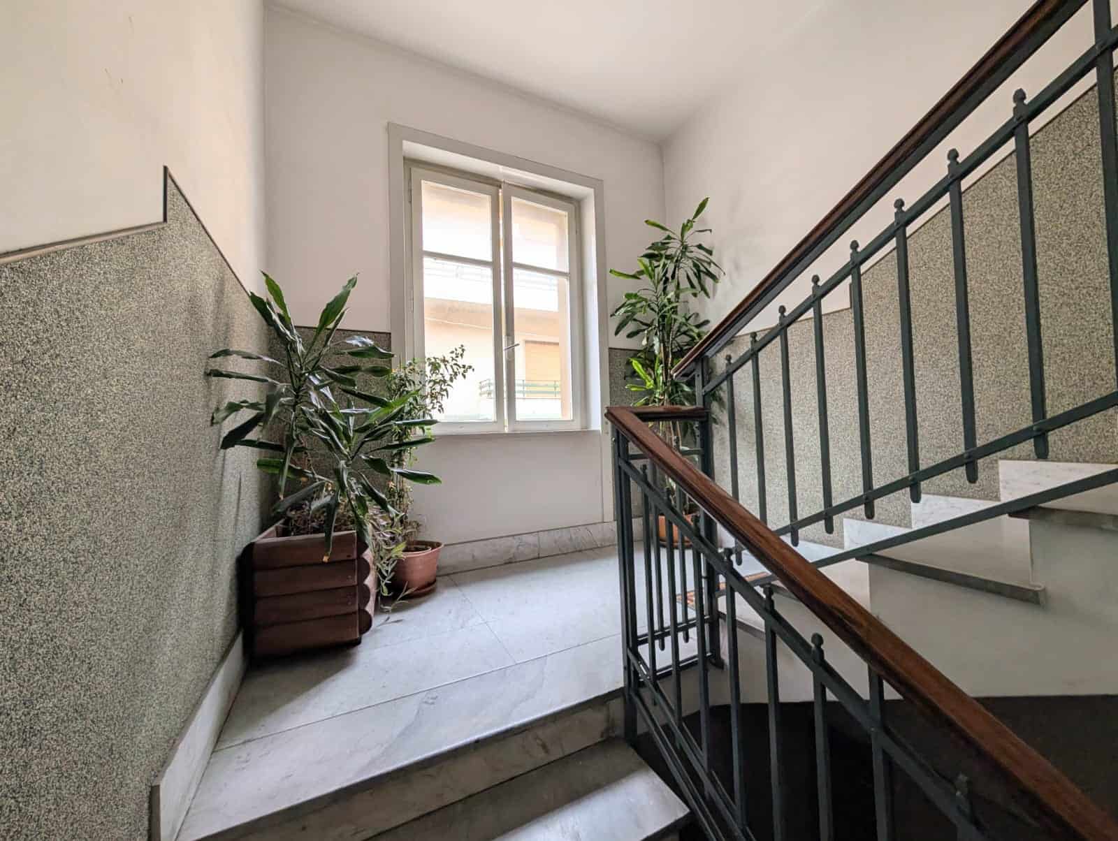 Piante verdi in un ingresso di edificio con finestra e ringhiera in metallo, ambiente luminoso e accogliente.