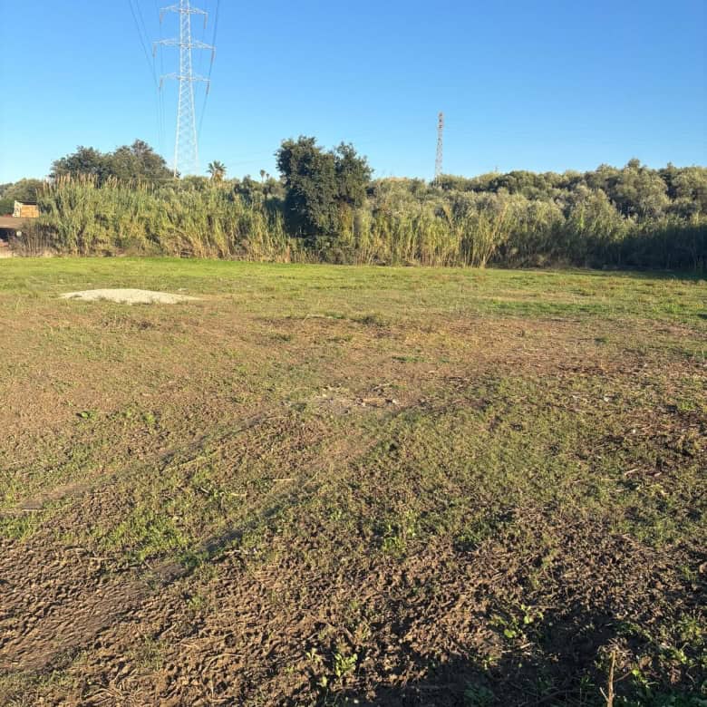 Terreno agricolo pianeggiante con vegetazione naturale e linee di energia elettrica sullo sfondo, ideale per progetti di sviluppo rurale o investimento immobiliare in campagna.