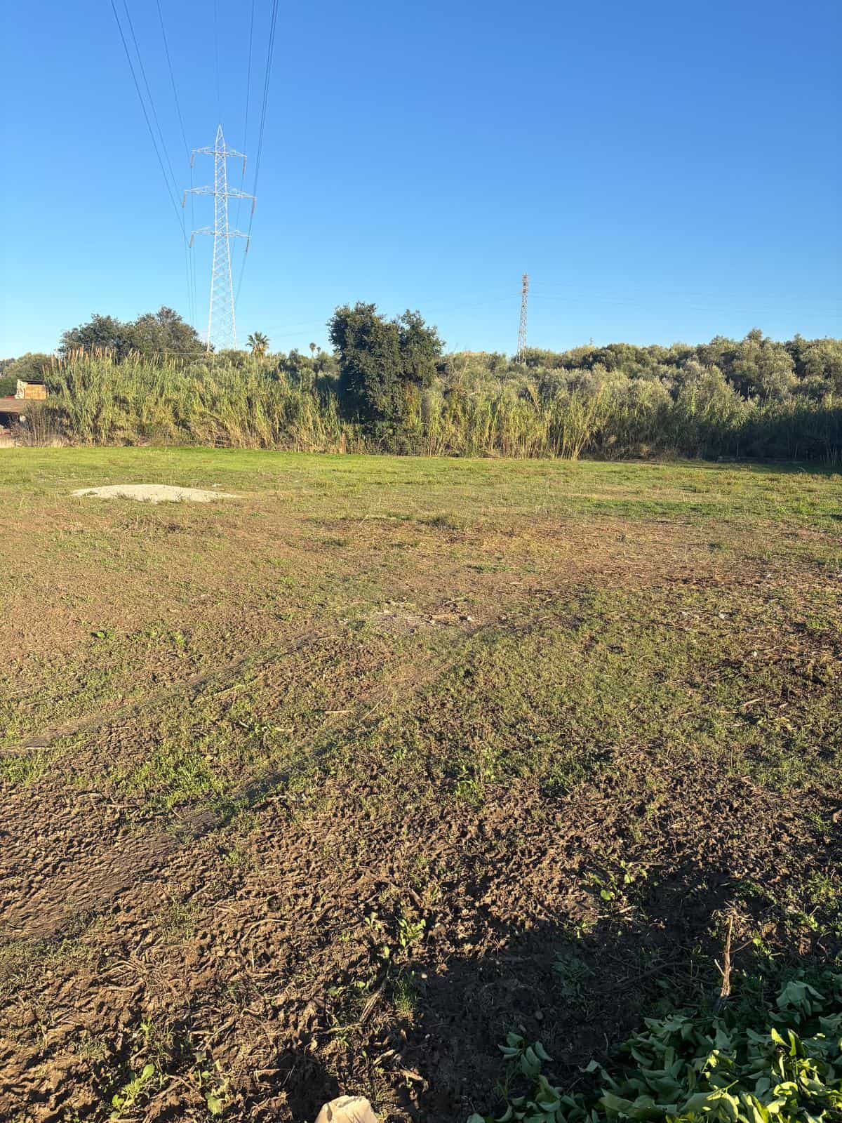 Terreno agricolo pianeggiante con vegetazione naturale e linee di energia elettrica sullo sfondo, ideale per progetti di sviluppo rurale o investimento immobiliare in campagna.