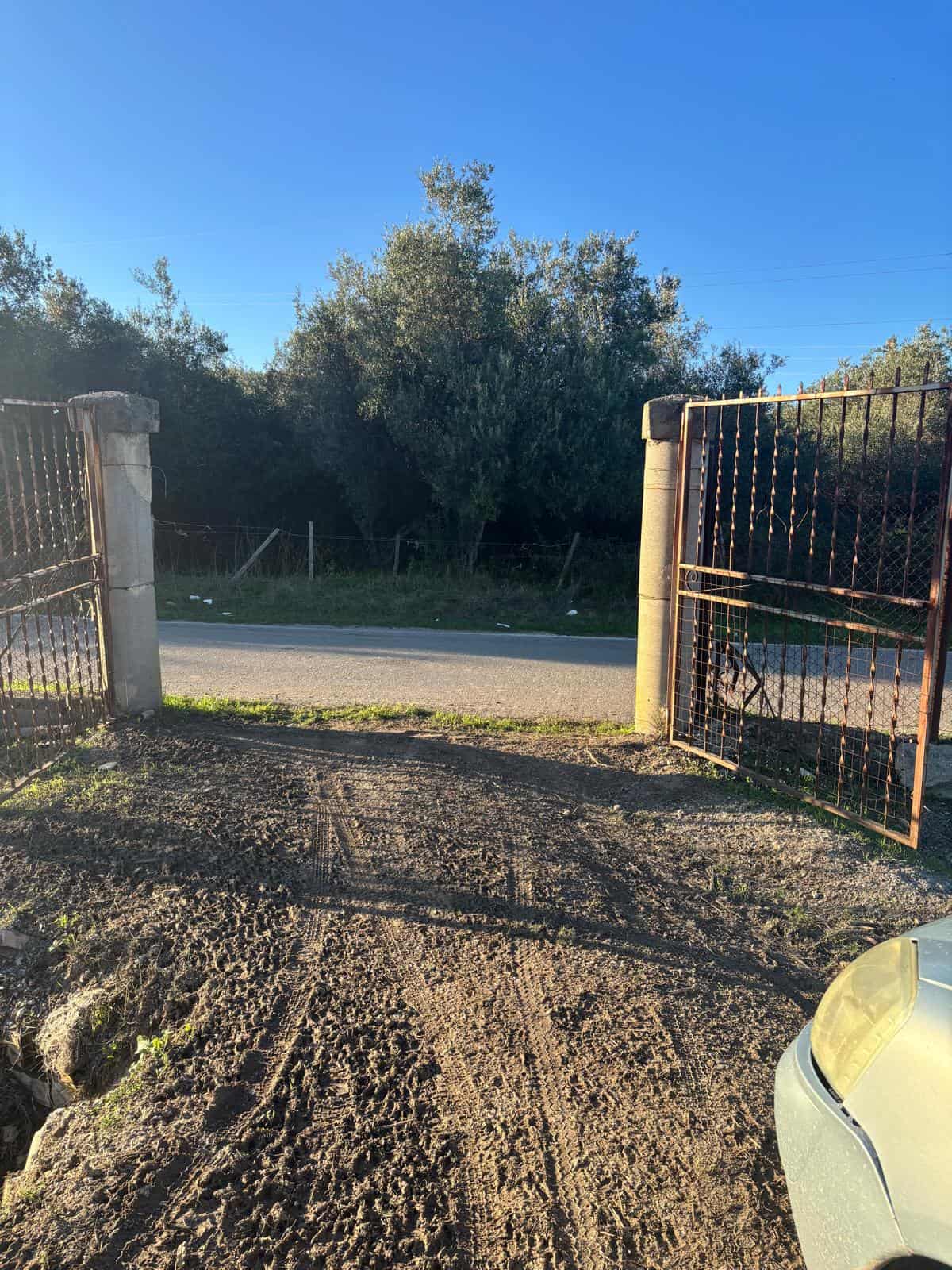 Cancello in ferro battuto aperto che conduce a un'area verde con alberi e cespugli, sotto un cielo azzurro limpido, con strada asfaltata sullo sfondo, in un contesto rurale o semi-urbano.