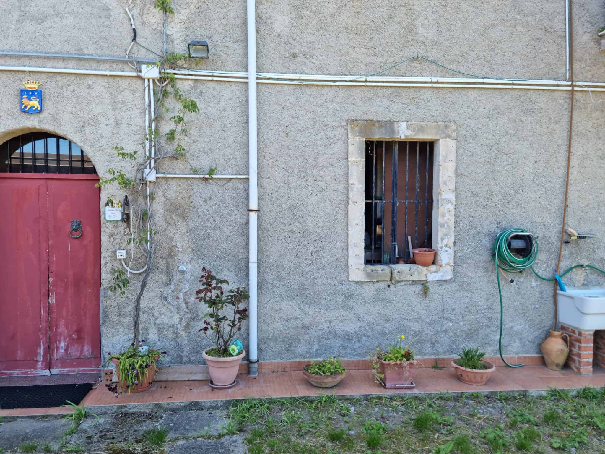Tappeto di piante e vasi decorativi lungo una parete di casa in stile rustico, con finestra e tubo dell'acqua visibili, atmosfera tranquilla e accogliente.