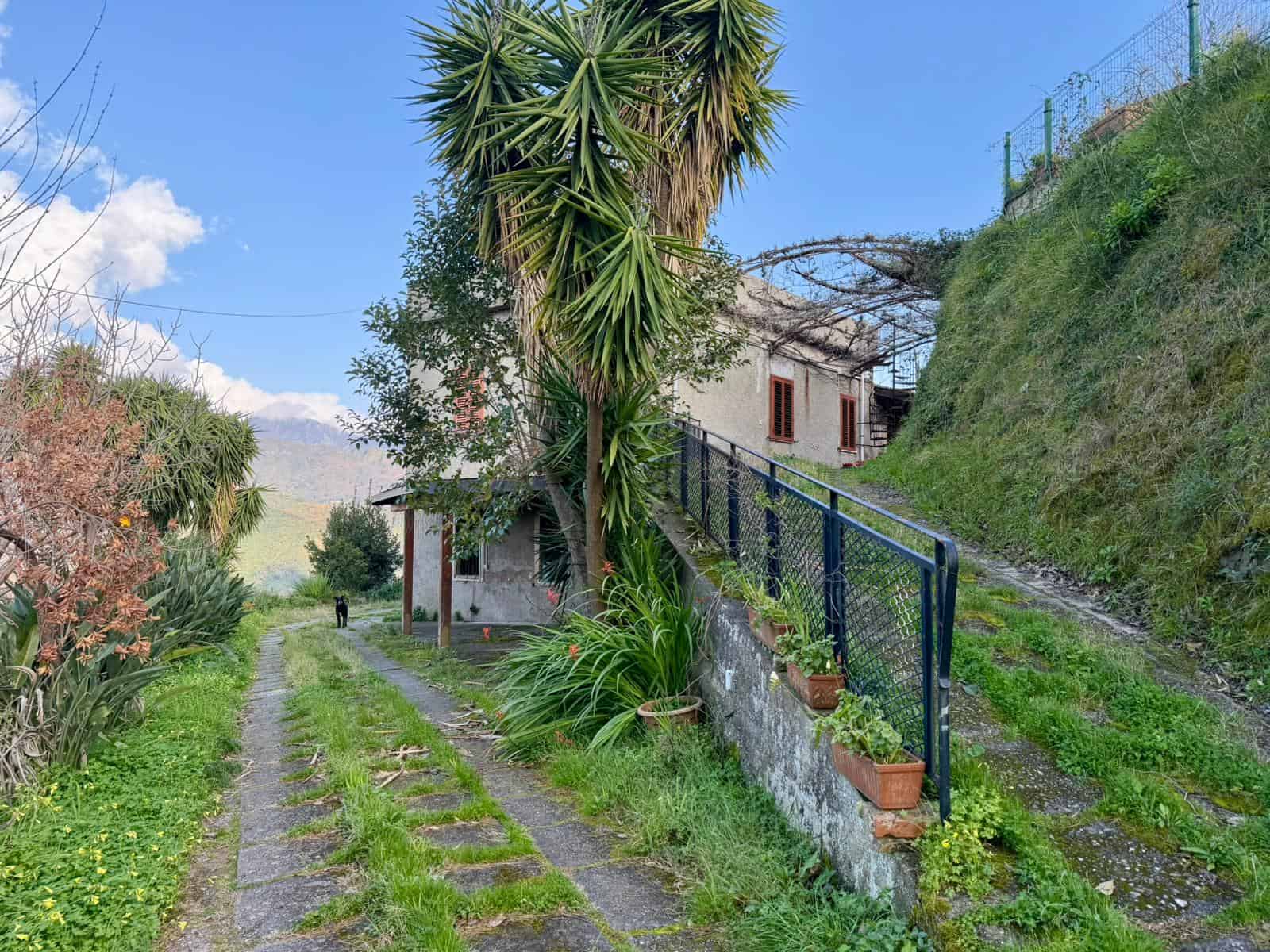 Ampia casa di montagna con giardino e piante tropicali, strada sterrata e vista sulle montagne, ambiente rurale e tranquillo, ideale per vacanze in natura e relax.