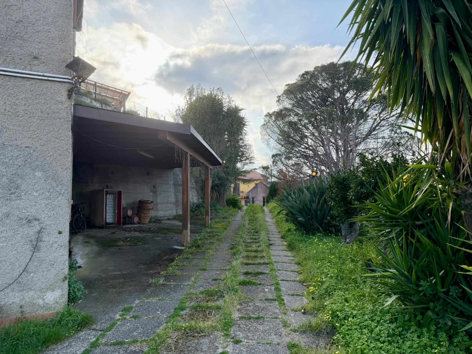 Ampio cortile esterno con strada in pietra, vegetazione rigogliosa e alberi al tramonto, parte di una proprietà residenziale con spazio verde e area di parcheggio coperta.