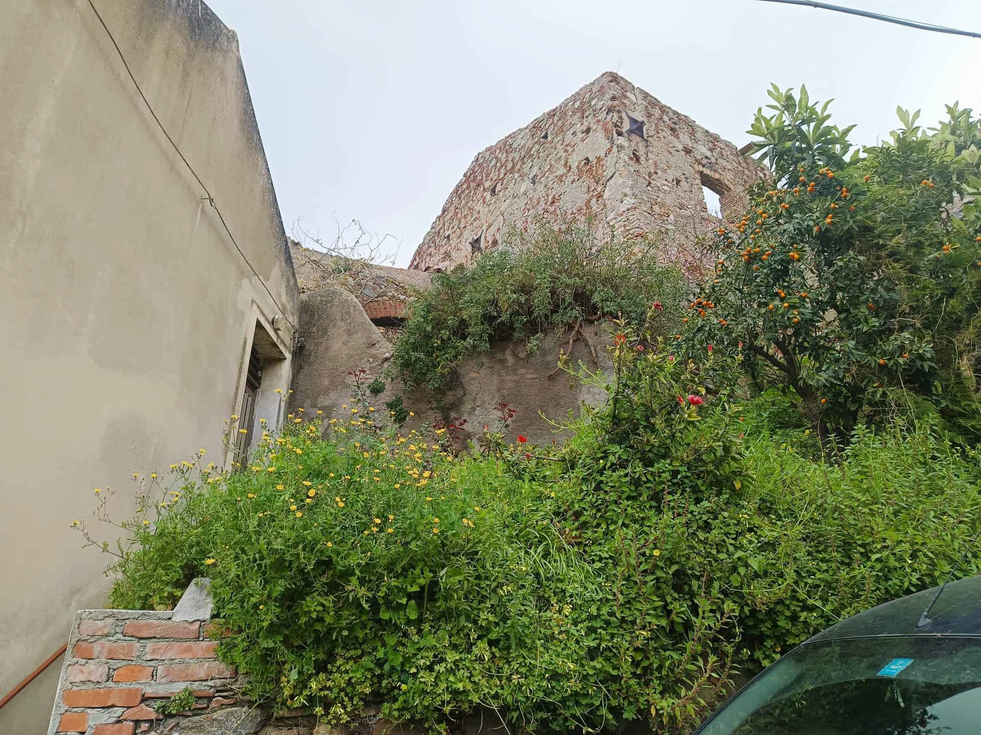 Vecchio edificio in rovina circondato da vegetazione rigogliosa e piante fiorite, con cielo nuvoloso sullo sfondo.
