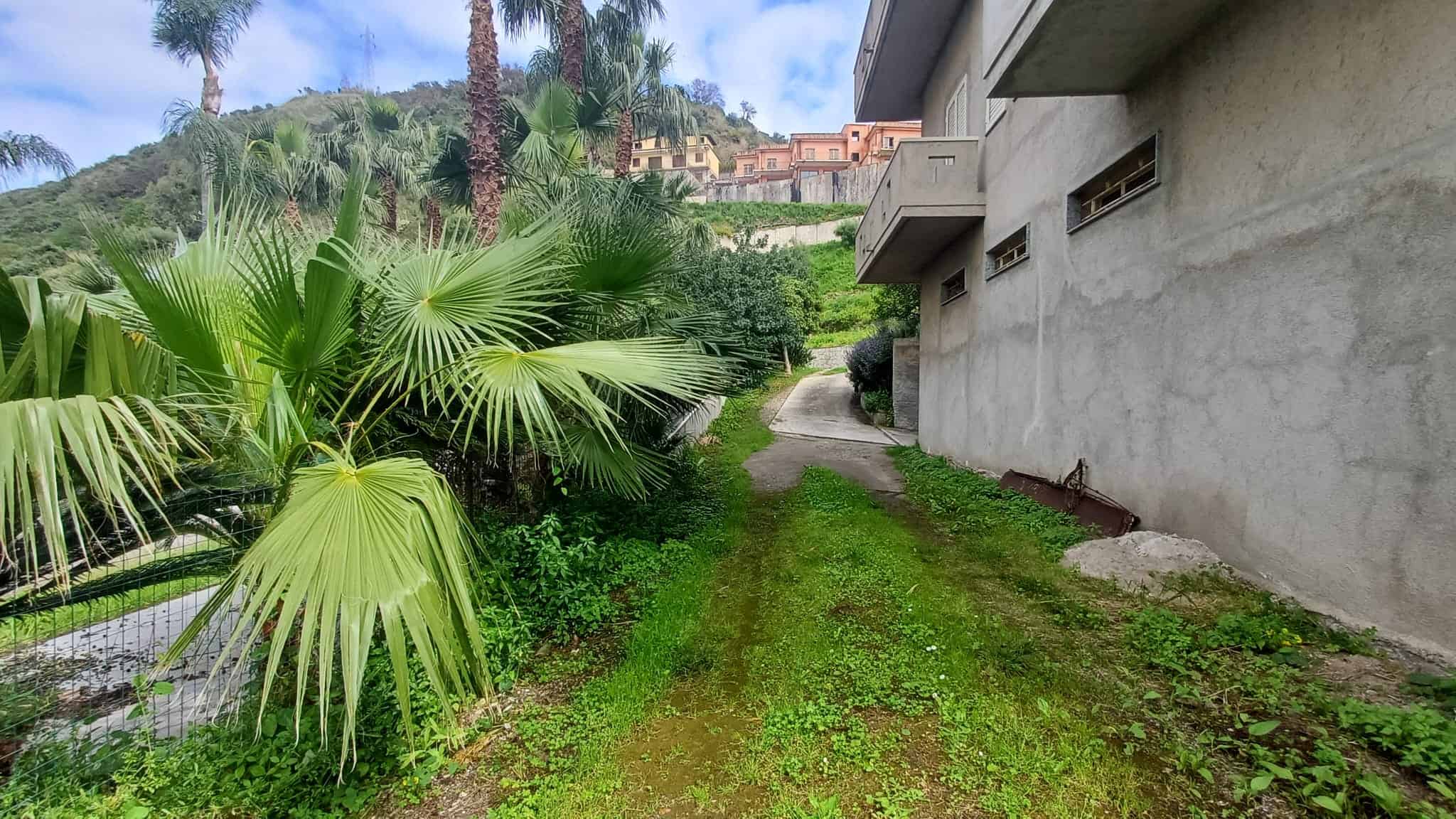 Piante tropicali e sentiero in giardino vicino a edificio moderno con vista su colline e case in lontananza, ambiente naturale e tranquillo.