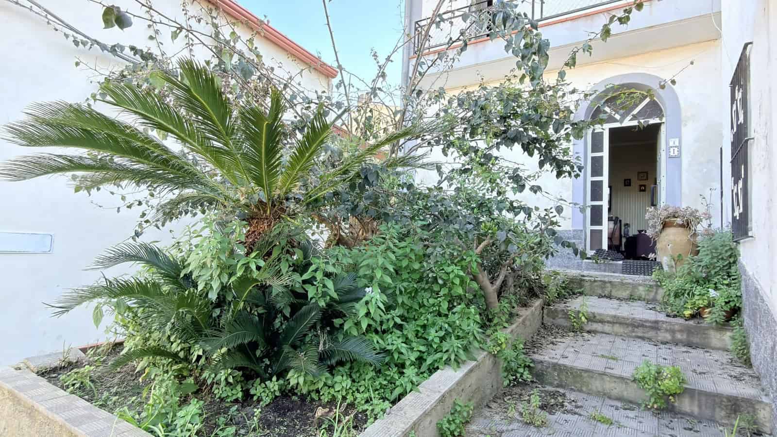 Piante tropicali e vegetazione rigogliosa nel giardino di una casa in stile mediterraneo con ingresso in pietra e porta bianca, ambiente esterno accogliente e verdeggiante.