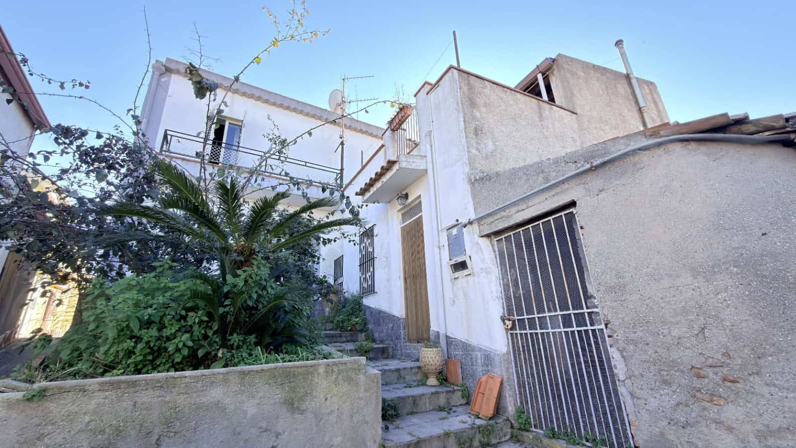 Piante tropicali e ingresso di una casa in stile mediterraneo con facciata bianca e scale esterne, in un contesto residenziale soleggiato e tranquillo.