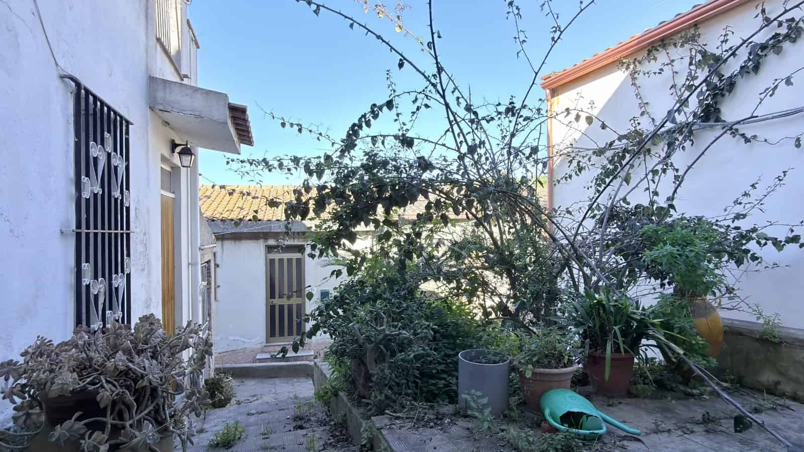 Pianta di giardino con piante e cespugli, spazio esterno di una casa con accessori per il giardinaggio, atmosfera tranquilla e naturale, ideale per relax e cura delle piante.