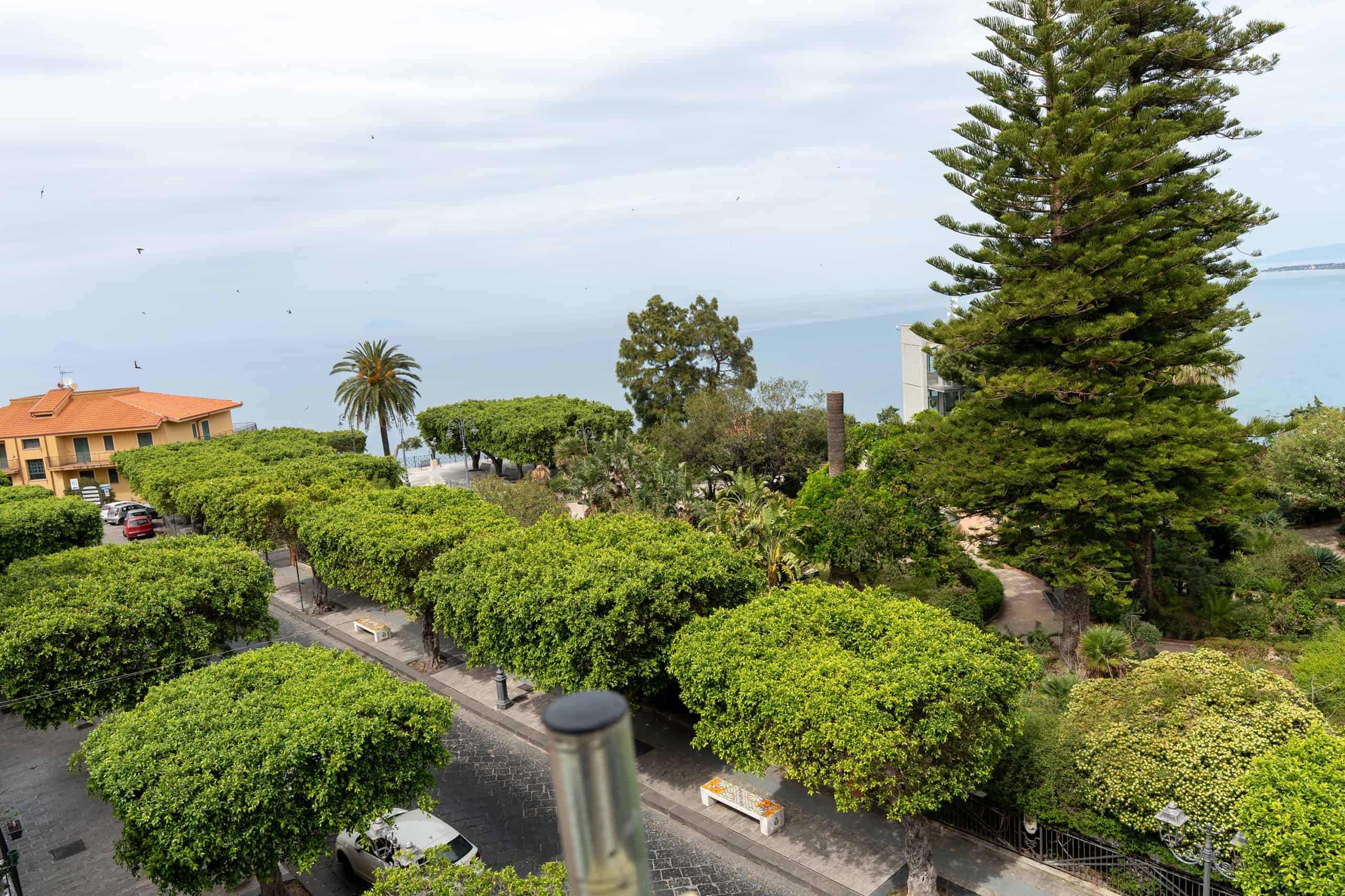 Vasta veduta di un giardino urbano con alberi ben curati, vista mare sullo sfondo, e un ambiente tranquillo e verdeggiante, ideale per proprietà residenziali di lusso o investimenti immobiliari.