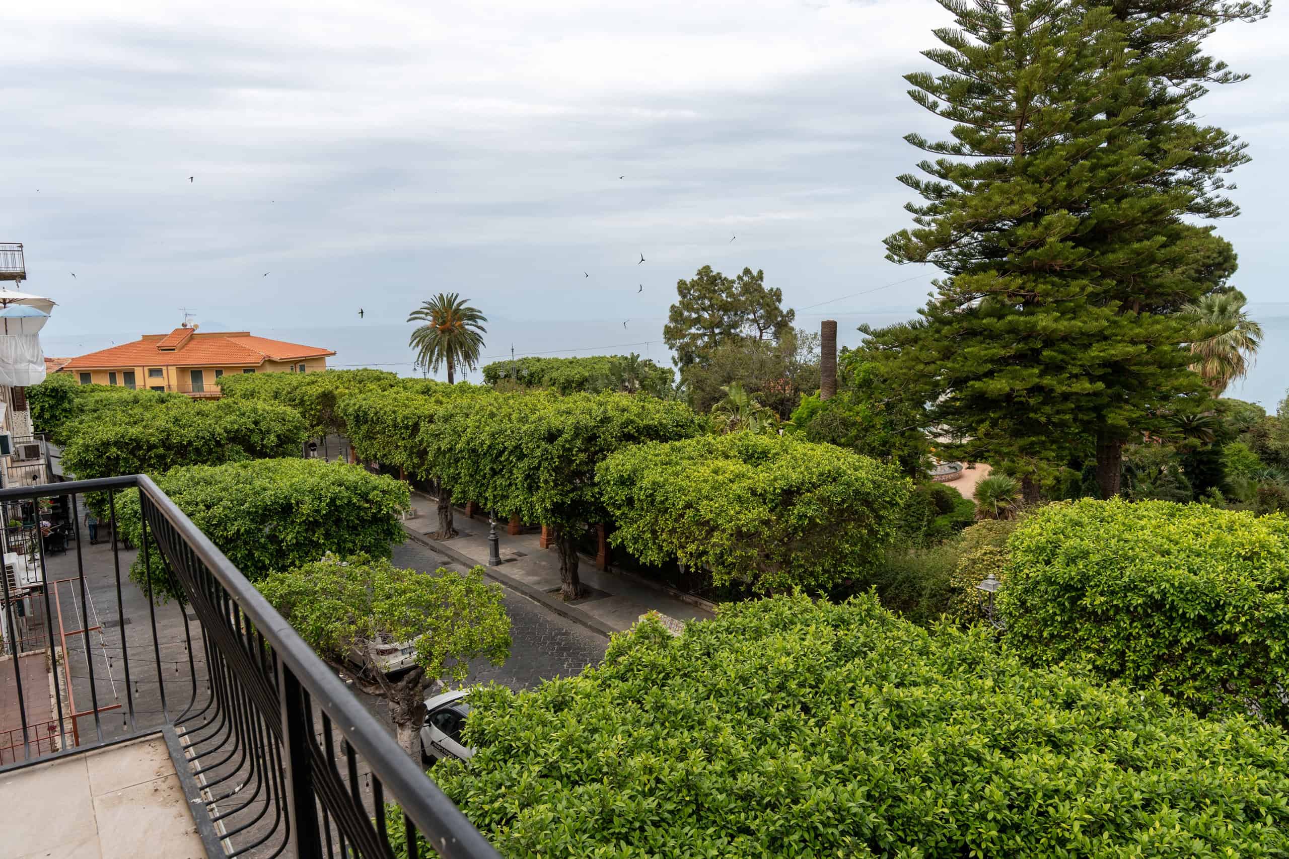 Alberi e vegetazione rigogliosa vista dal balcone con mare in lontananza, in un ambiente residenziale tranquillo e verdeggiante.