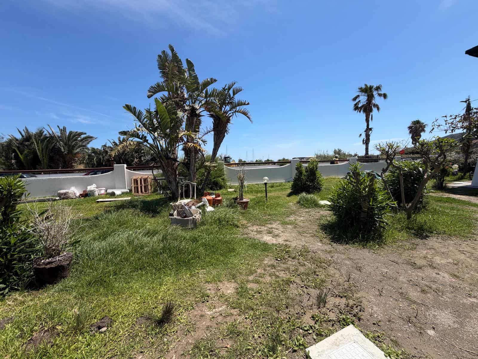 Vasto giardino con palme e piante ornamentali, recintato con muro bianco, sotto un cielo sereno, ideale per relax e attività all'aperto in una casa in affitto o vendita a NextCasa.