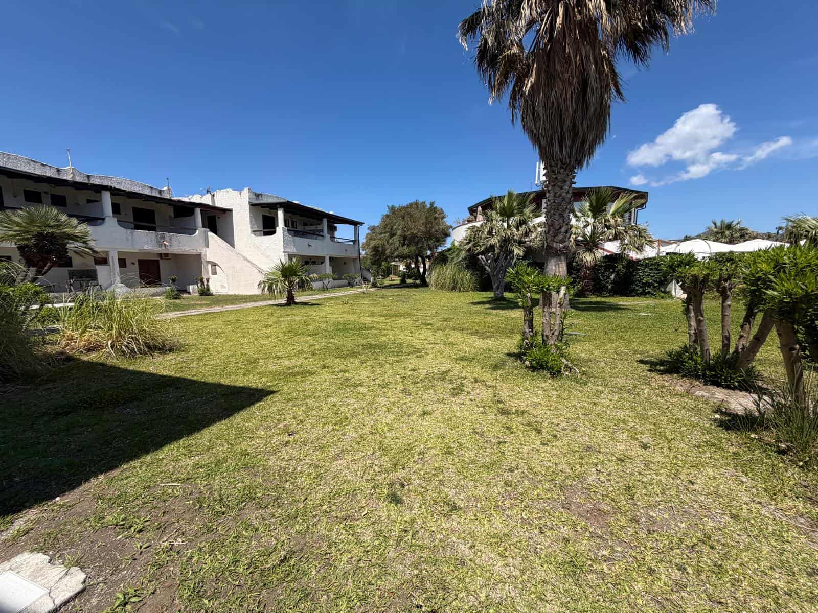 Giardino verde con alberi e palme vicino a complesso residenziale moderno in una giornata soleggiata, ideale per relax e attività all'aperto.