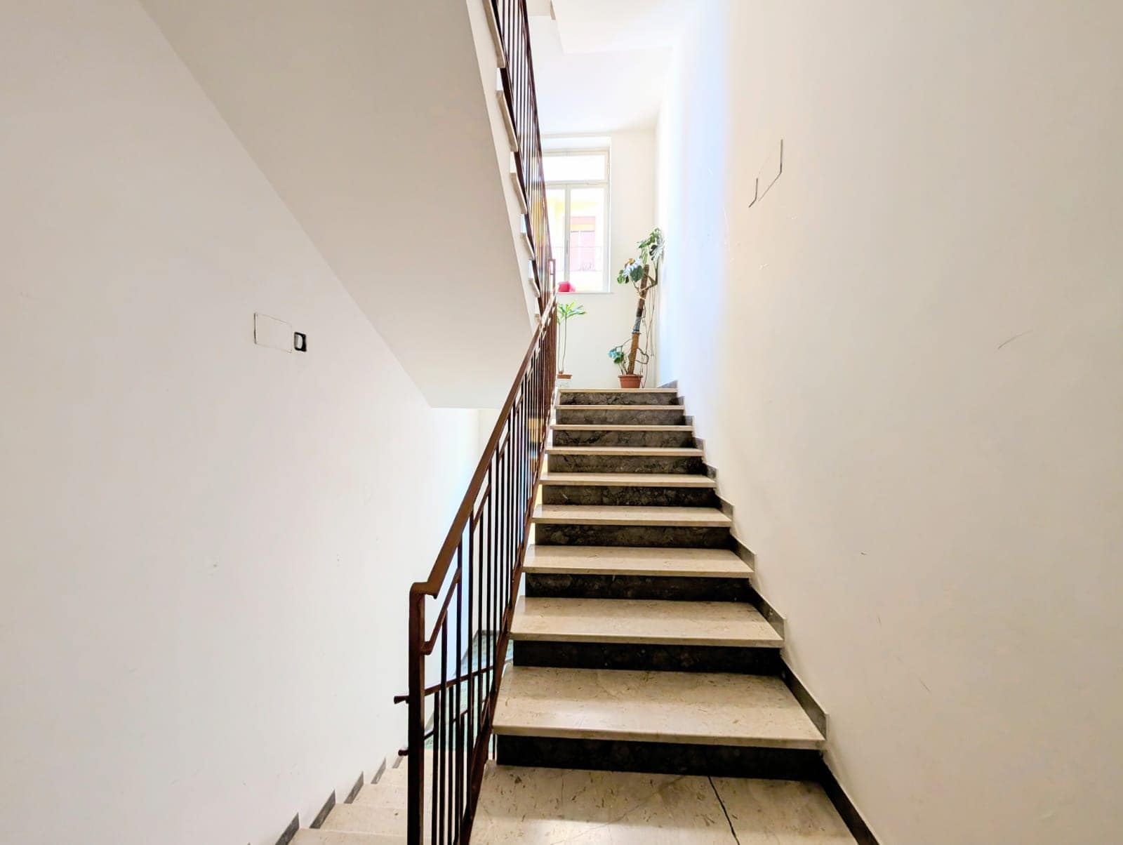 Ascensore e scale in un edificio residenziale, ingresso luminoso con piante e finestra, ambiente pulito e ben mantenuto, ideale per appartamenti in vendita o affitto.