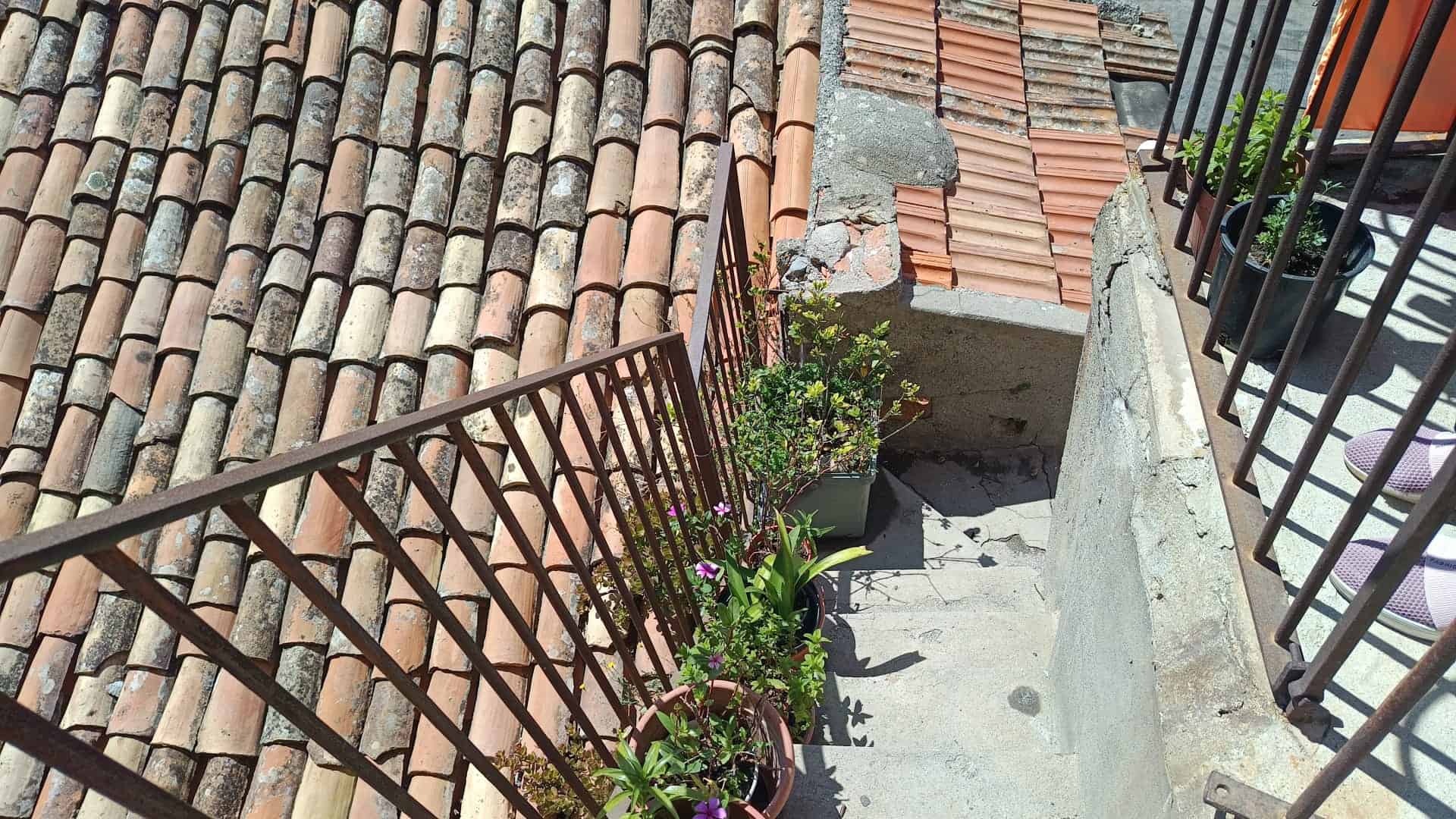Finestra di un balcone con piante in vaso e ringhiera in ferro battuto, vista su tetto in tegole e strada sottostante, in un contesto urbano italiano.