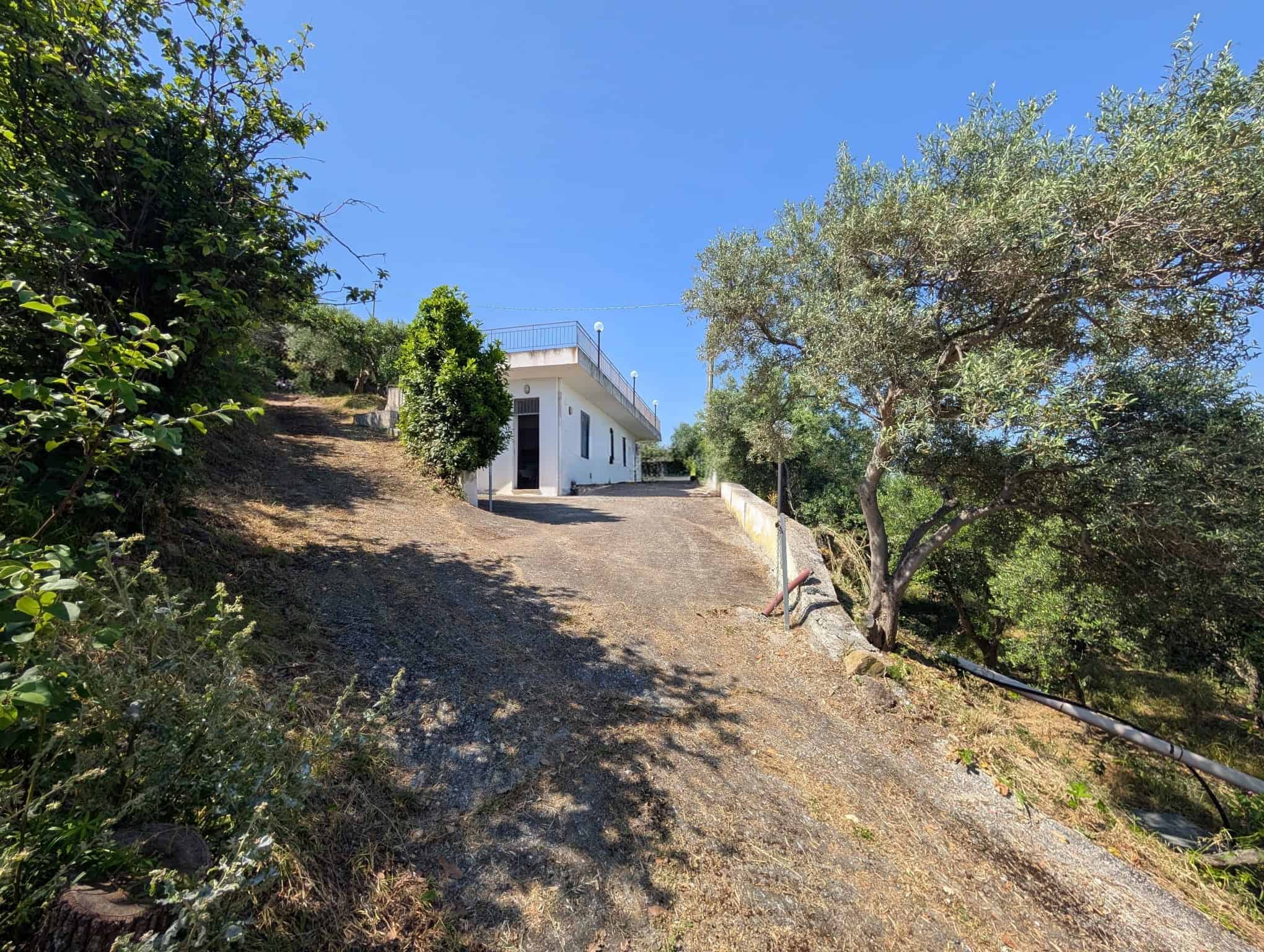 Casa moderna su collina con vista panoramica, circondata da alberi e vegetazione, in posizione elevata con accesso tramite strada sterrata.