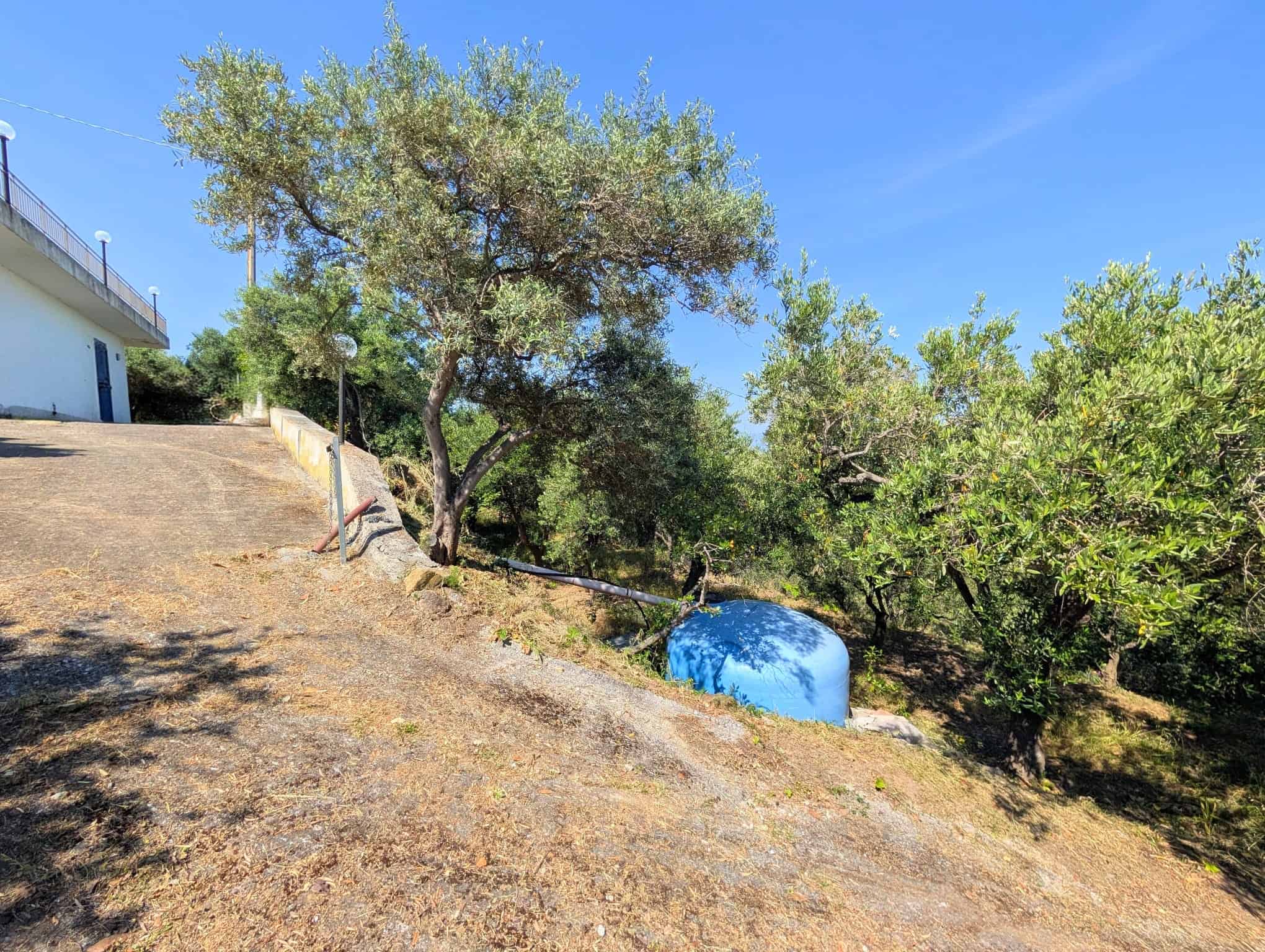 Alto albero su collina con vista su natura e cielo azzurro, vicino a una casa moderna con terrazza, in un ambiente rurale e tranquillo, ideale per chi cerca una proprietà immersa nel verde.