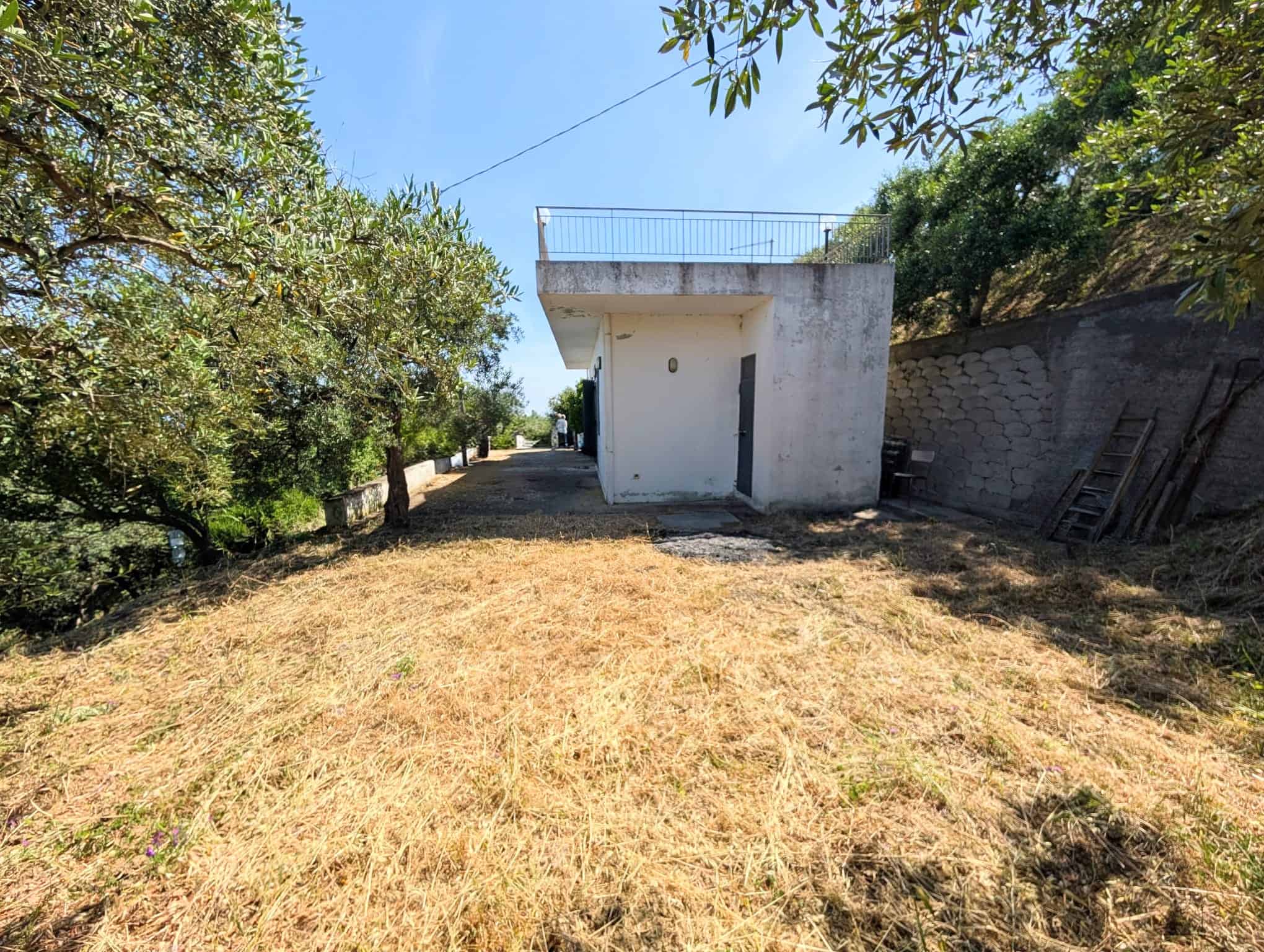 Ampio spazio esterno con prato e alberi, ideale per ristrutturare una casa indipendente in campagna, vicino a servizi e natura, perfetta per progetti di ristrutturazione e investimento immobiliare.