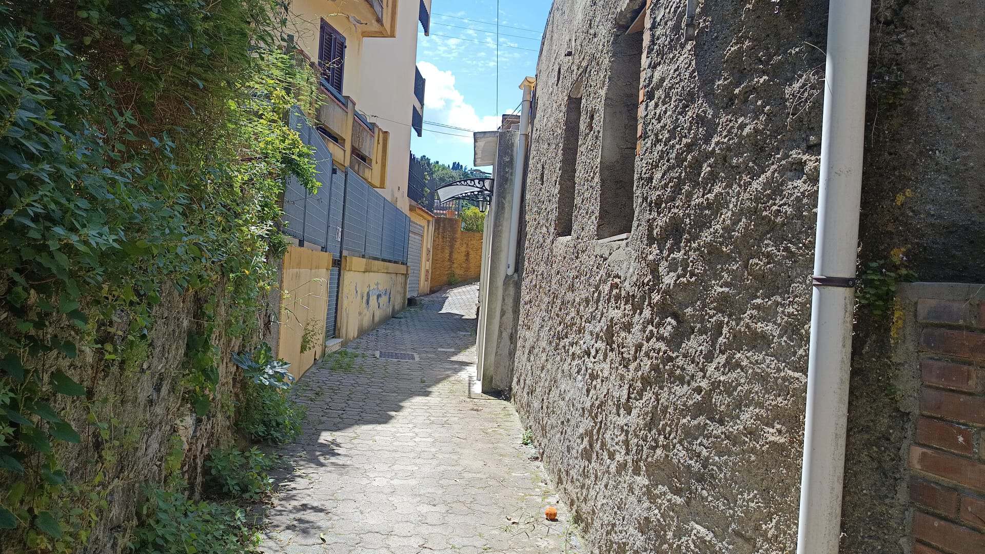 Ampia strada acciottolata in un quartiere storico di città, con edifici antichi e vegetazione rigogliosa, ideale per immobili di charme e case di pregio in vendita o affitto.