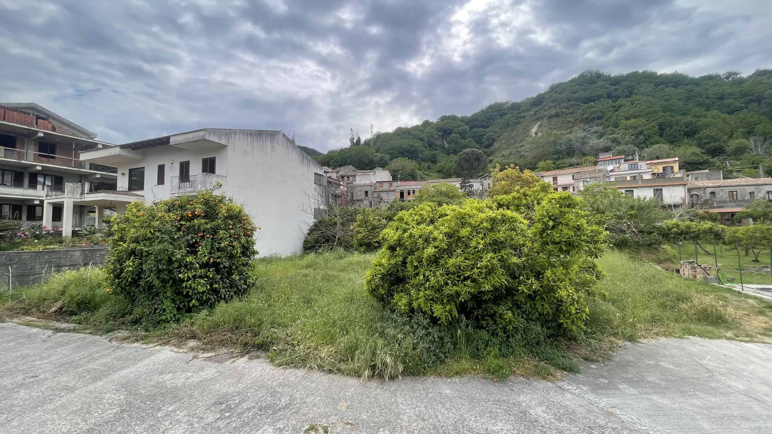 Altezza di un'area verde con arbusti e case residenziali sullo sfondo, situata in un contesto collinare, sotto un cielo nuvoloso, rappresentando un ambiente tranquillo e naturale in un quartiere resid.
